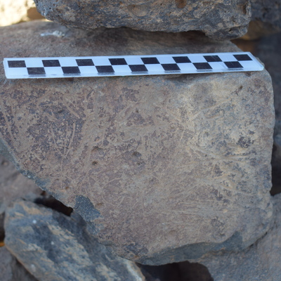 Image of siglum BES20 1645