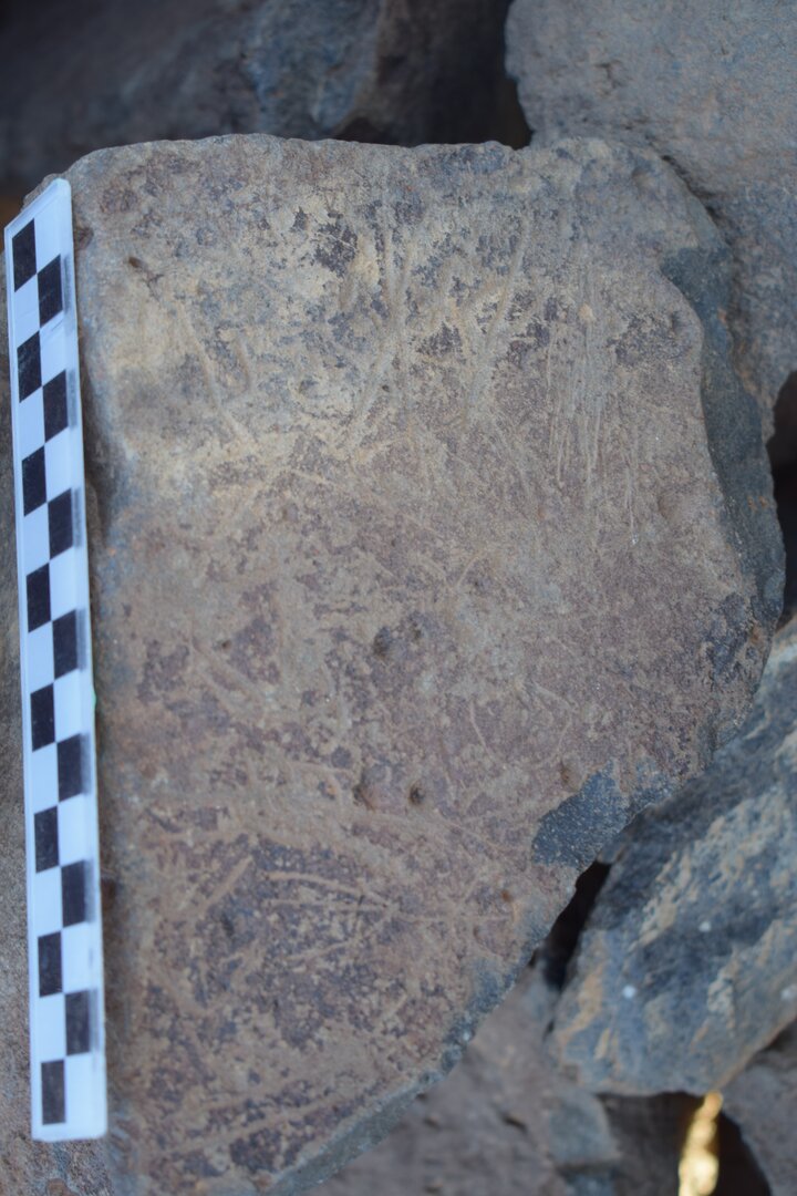 Image of siglum BES20 1645