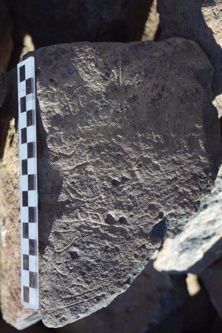 Image of siglum BES20 1645