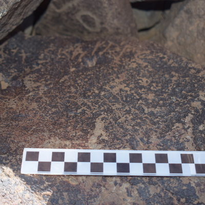 Image of siglum BES20 1646