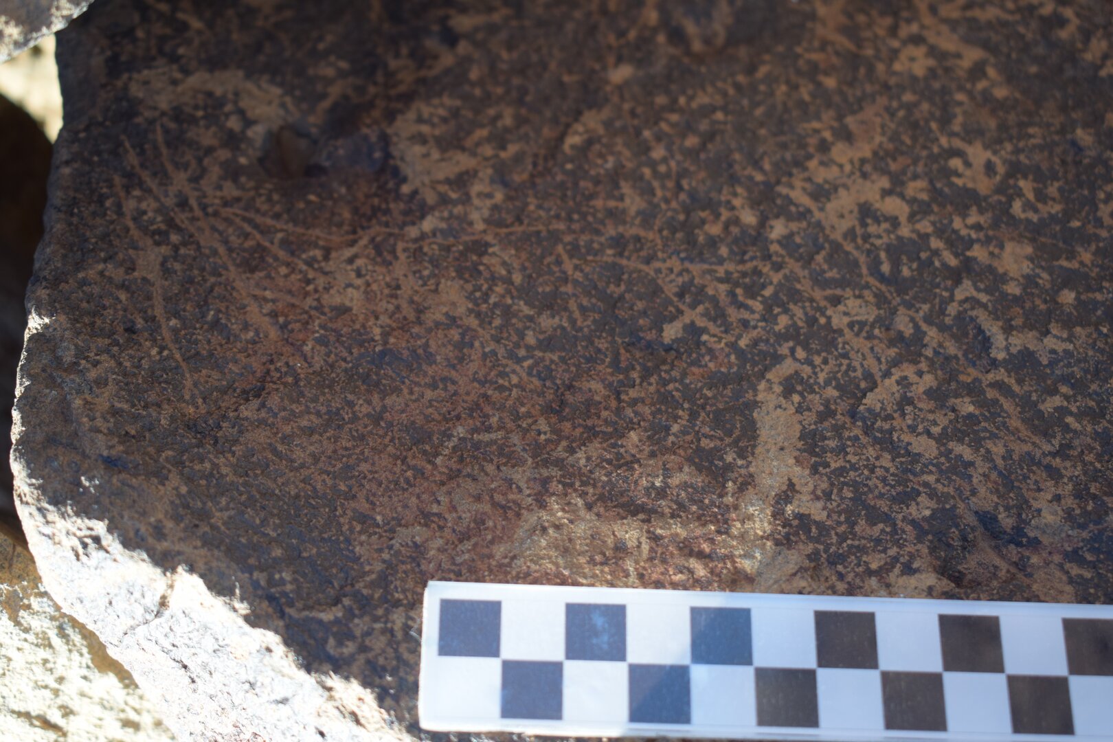 Image of siglum BES20 1646