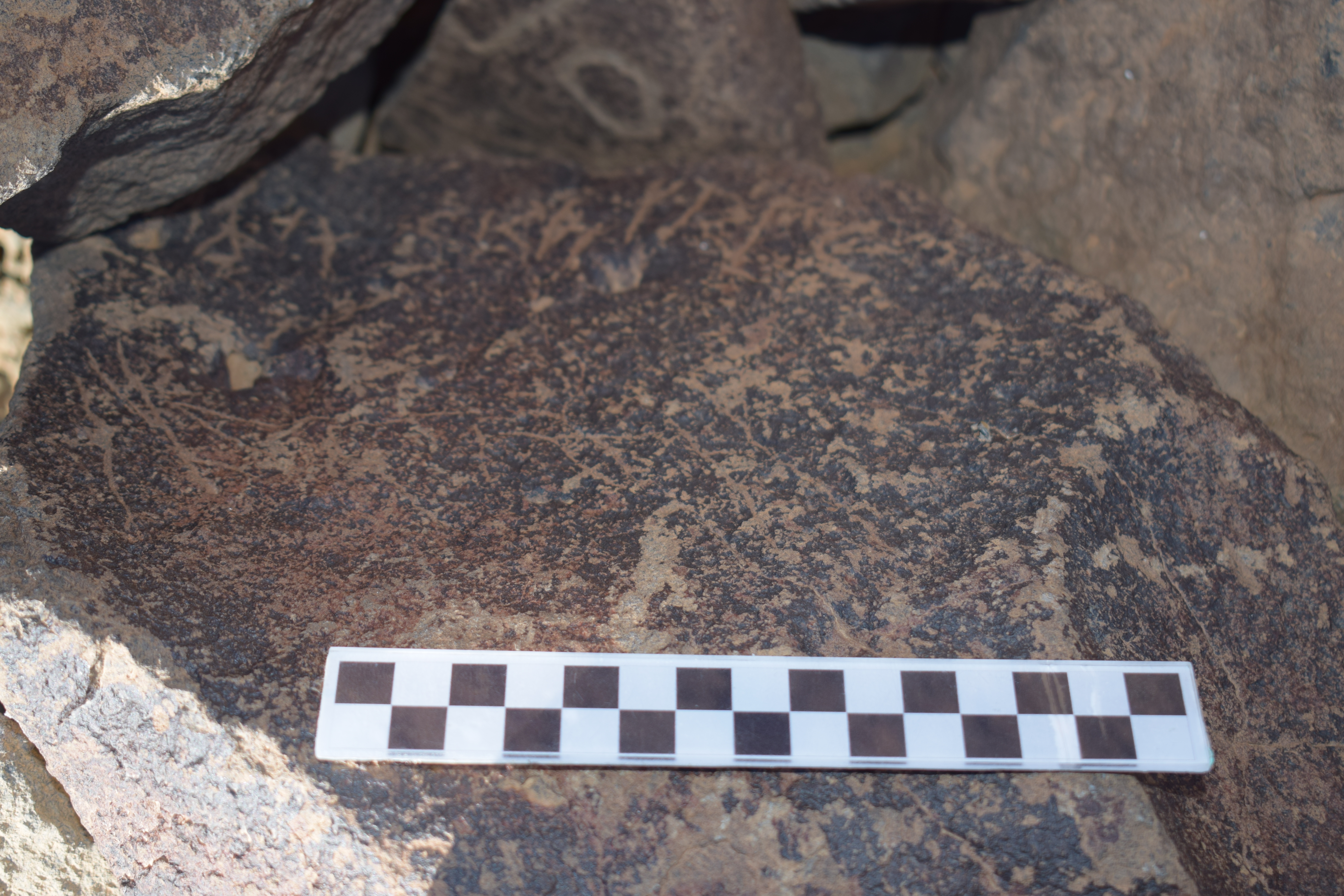 Image of siglum BES20 1647