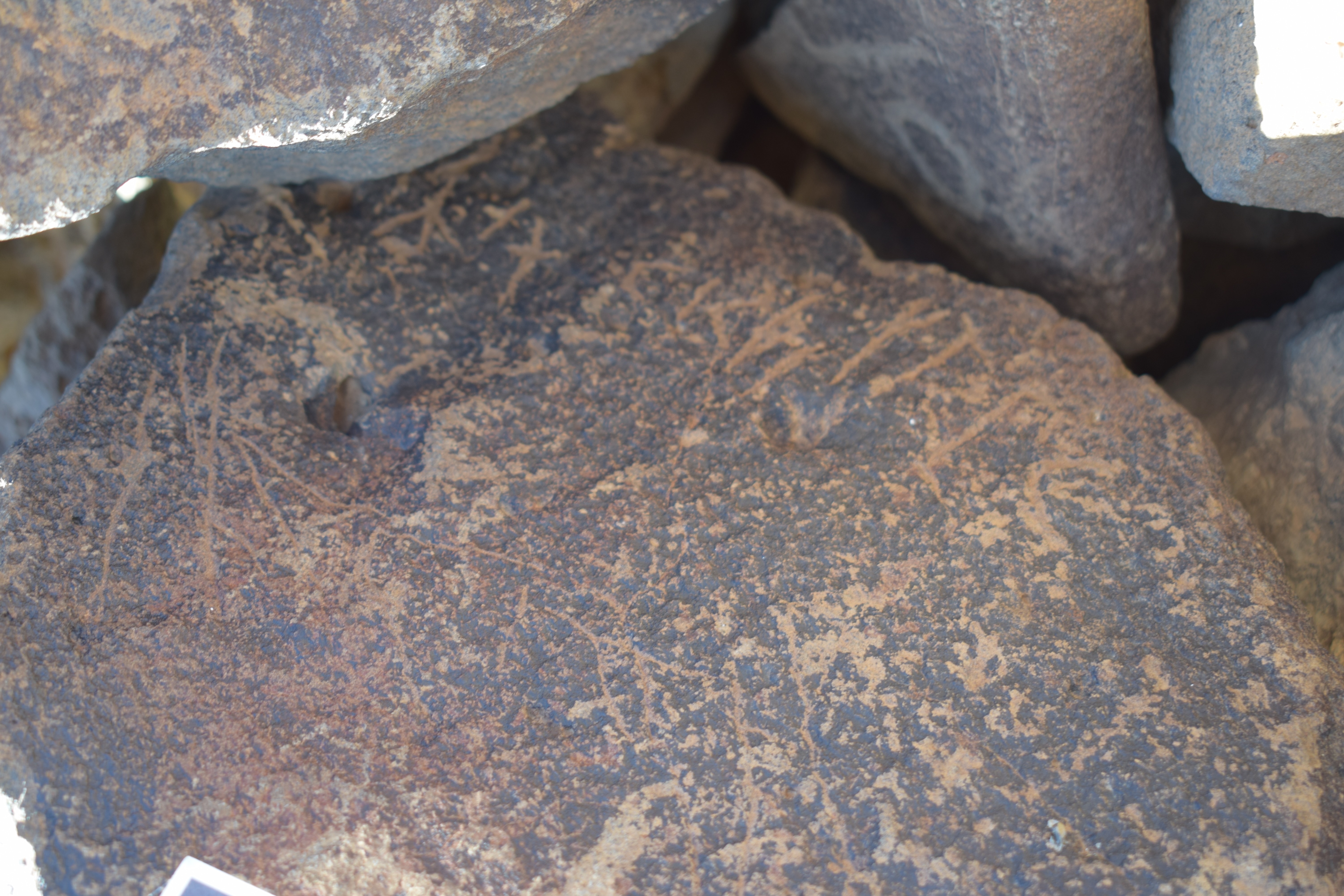 Image of siglum BES20 1647