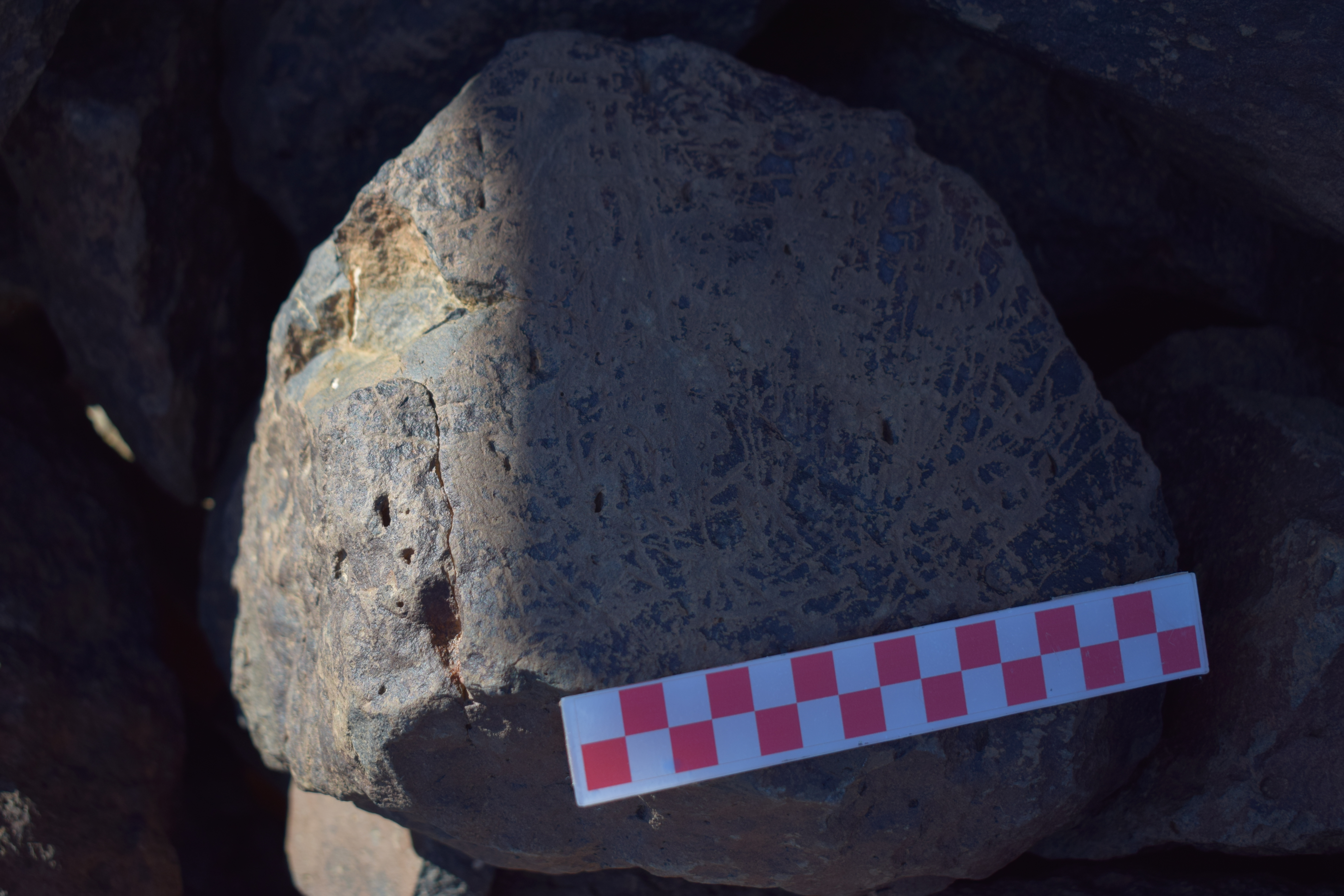 Image of siglum BES20 1648