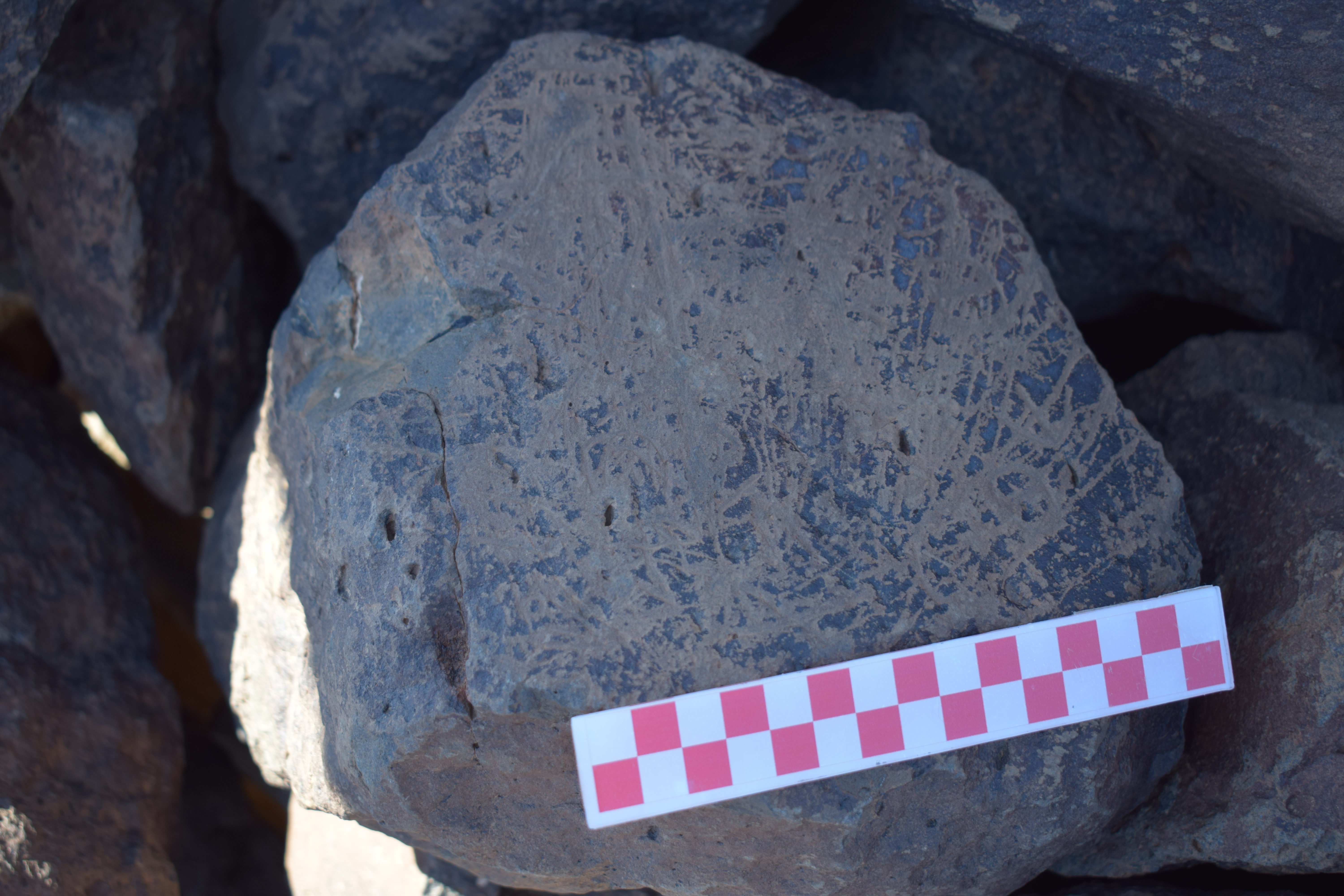 Image of siglum BES20 1648