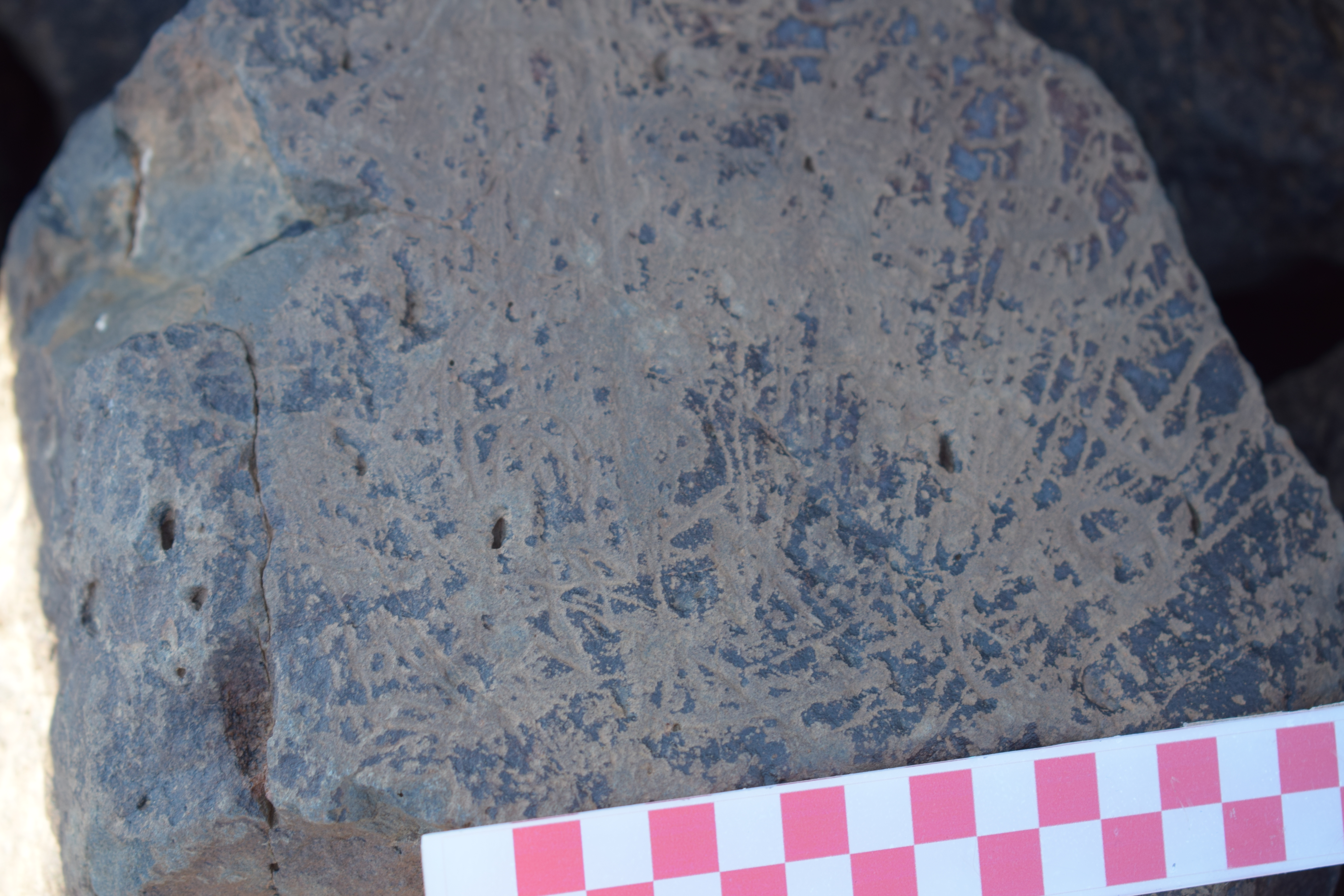 Image of siglum BES20 1648