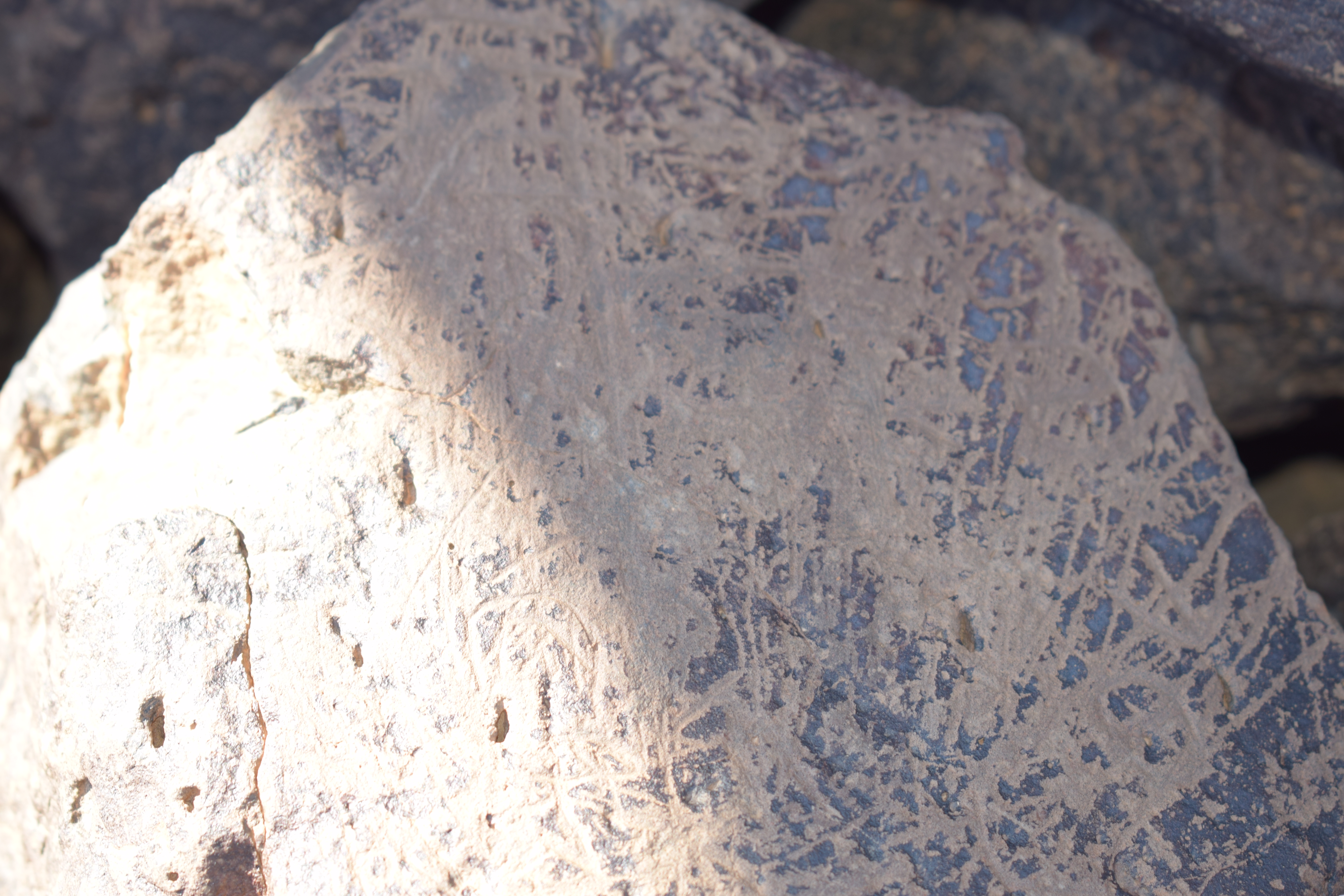 Image of siglum BES20 1648