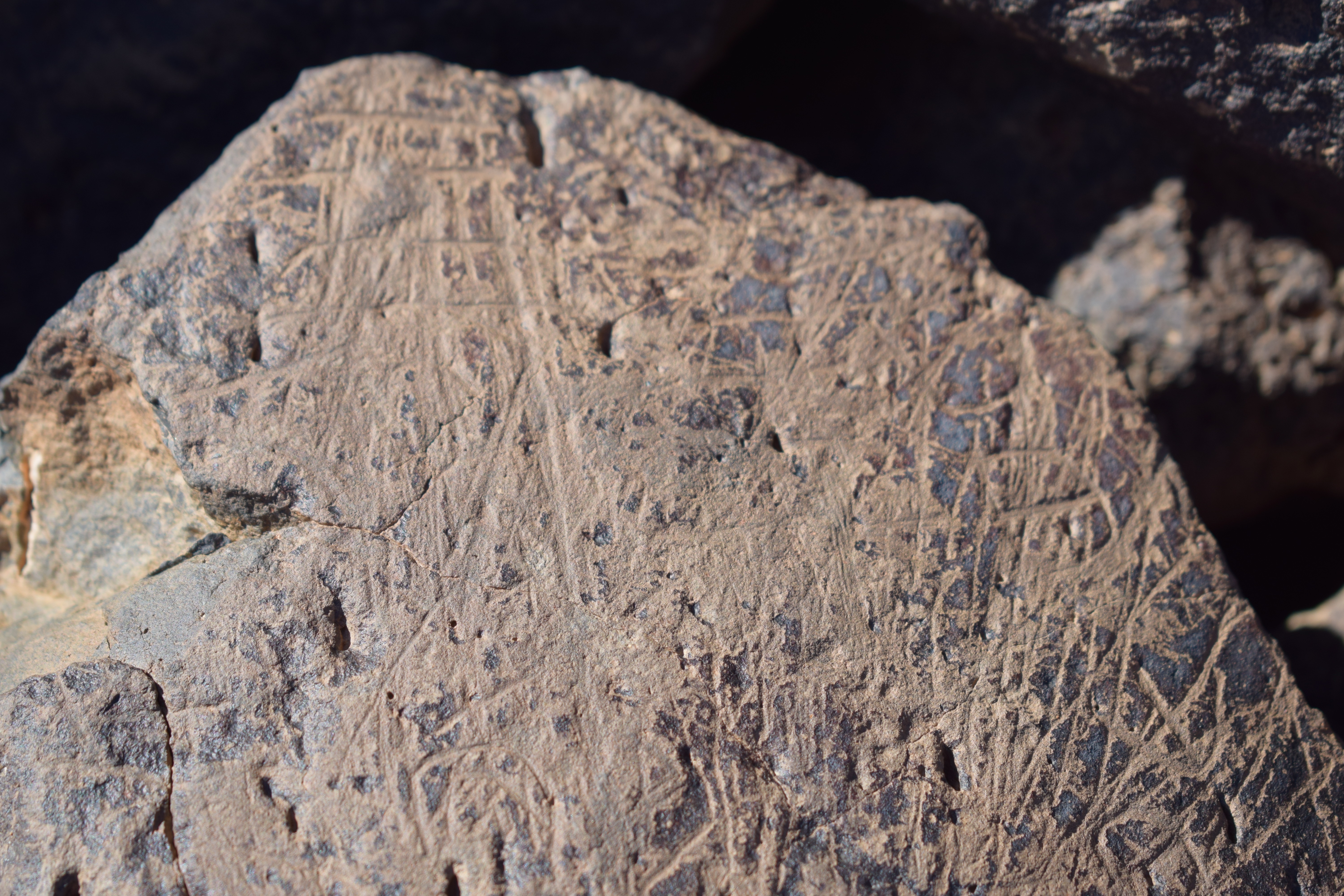 Image of siglum BES20 1648