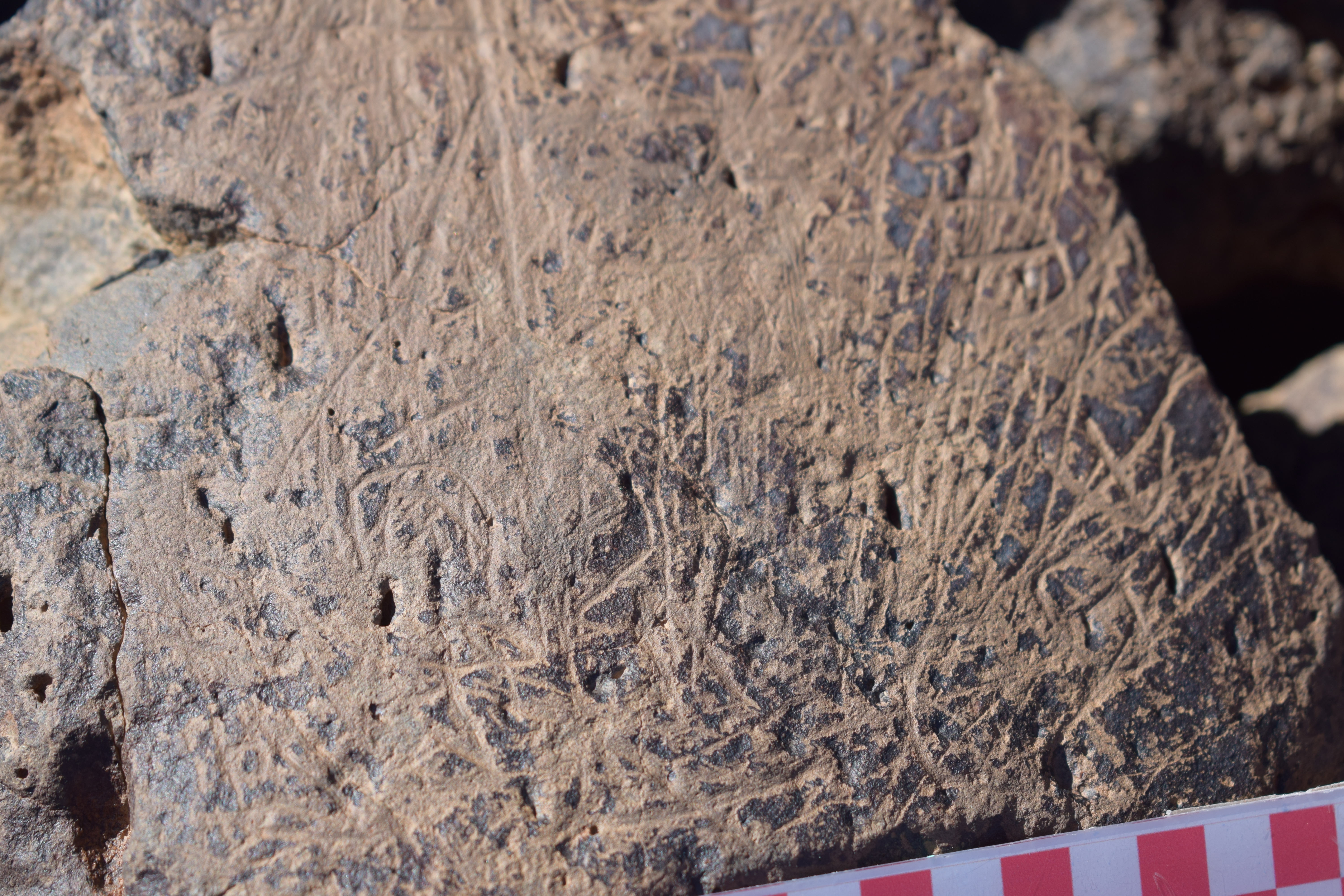 Image of siglum BES20 1648