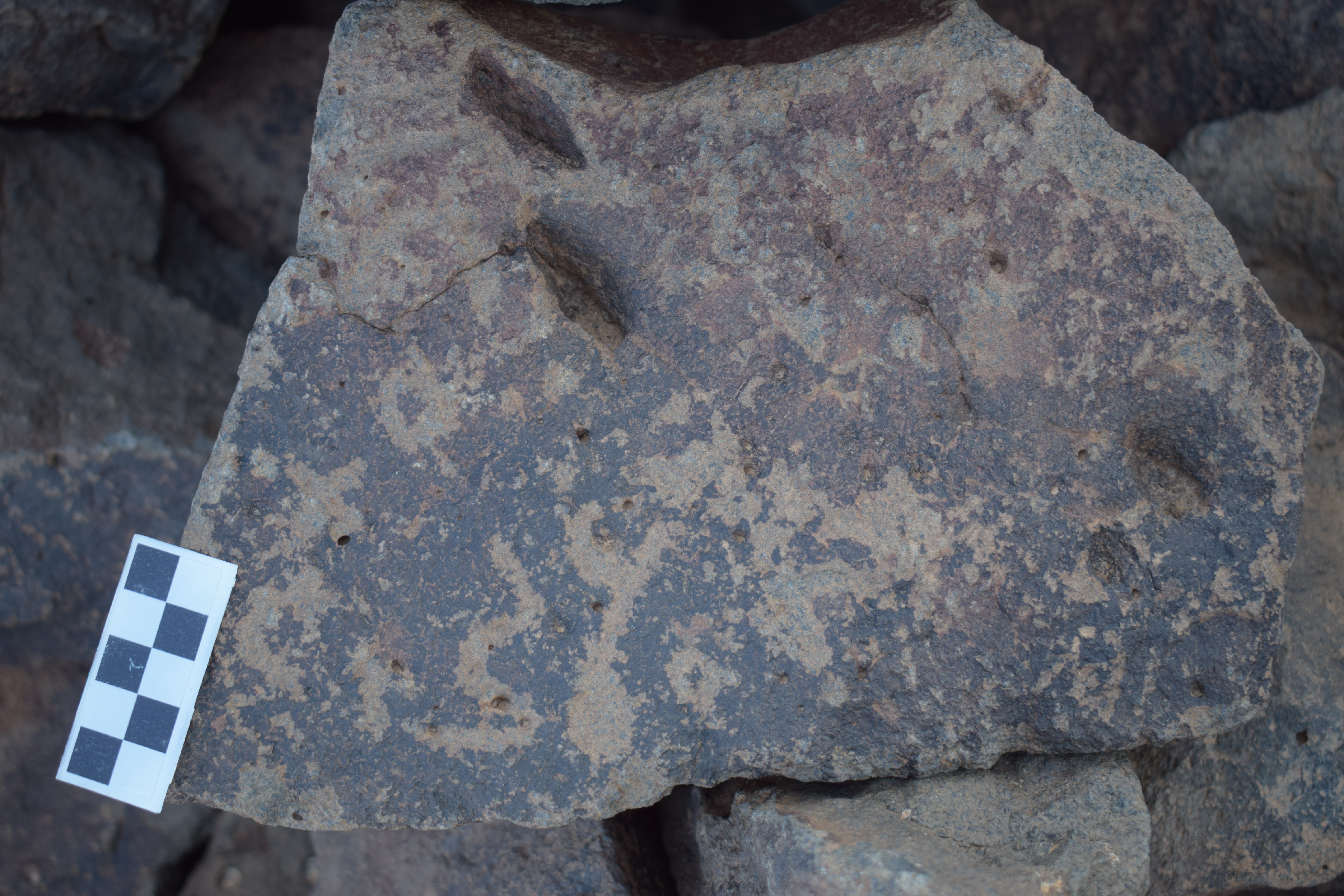 Image of siglum BES20 1649