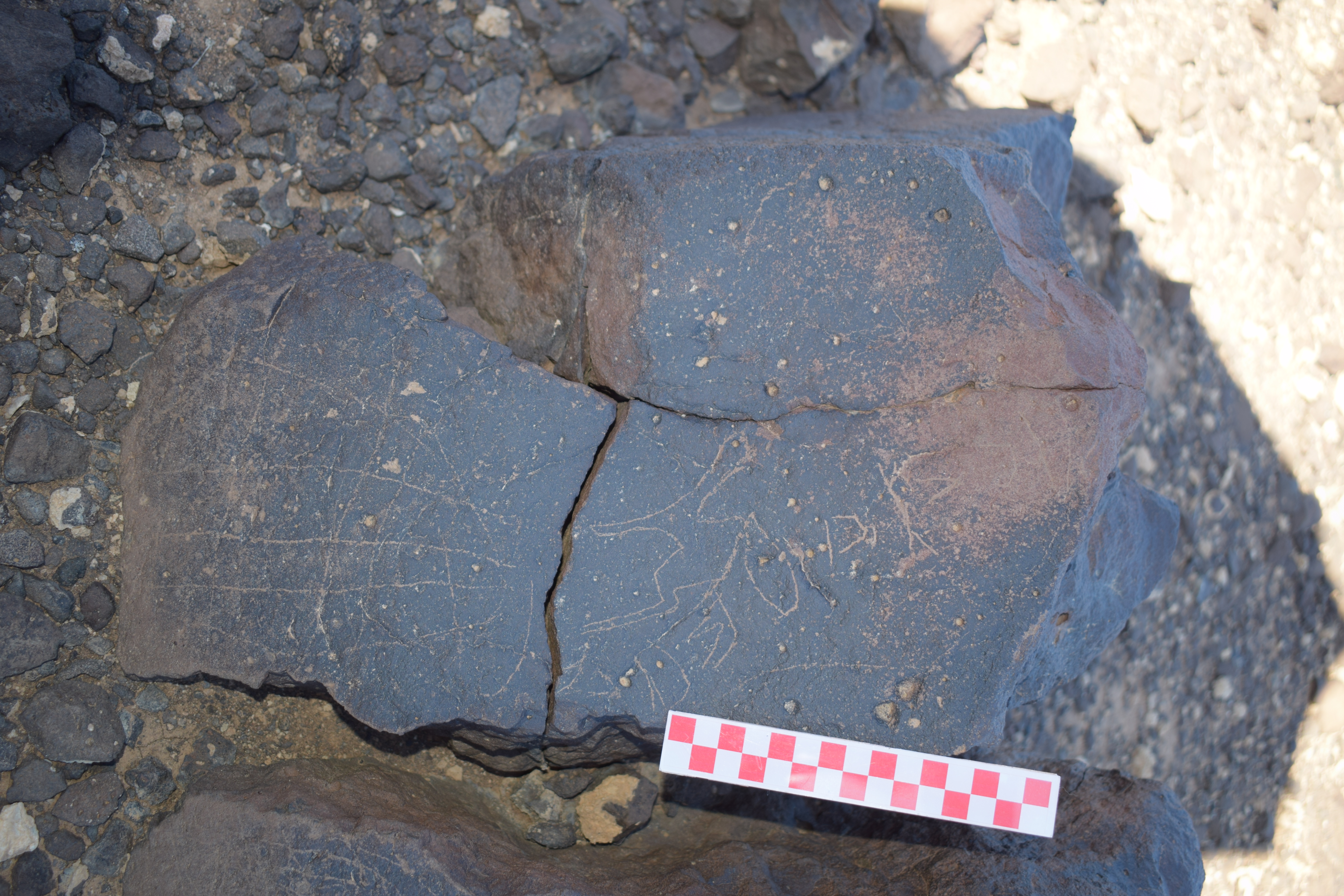 Image of siglum BES20 1650