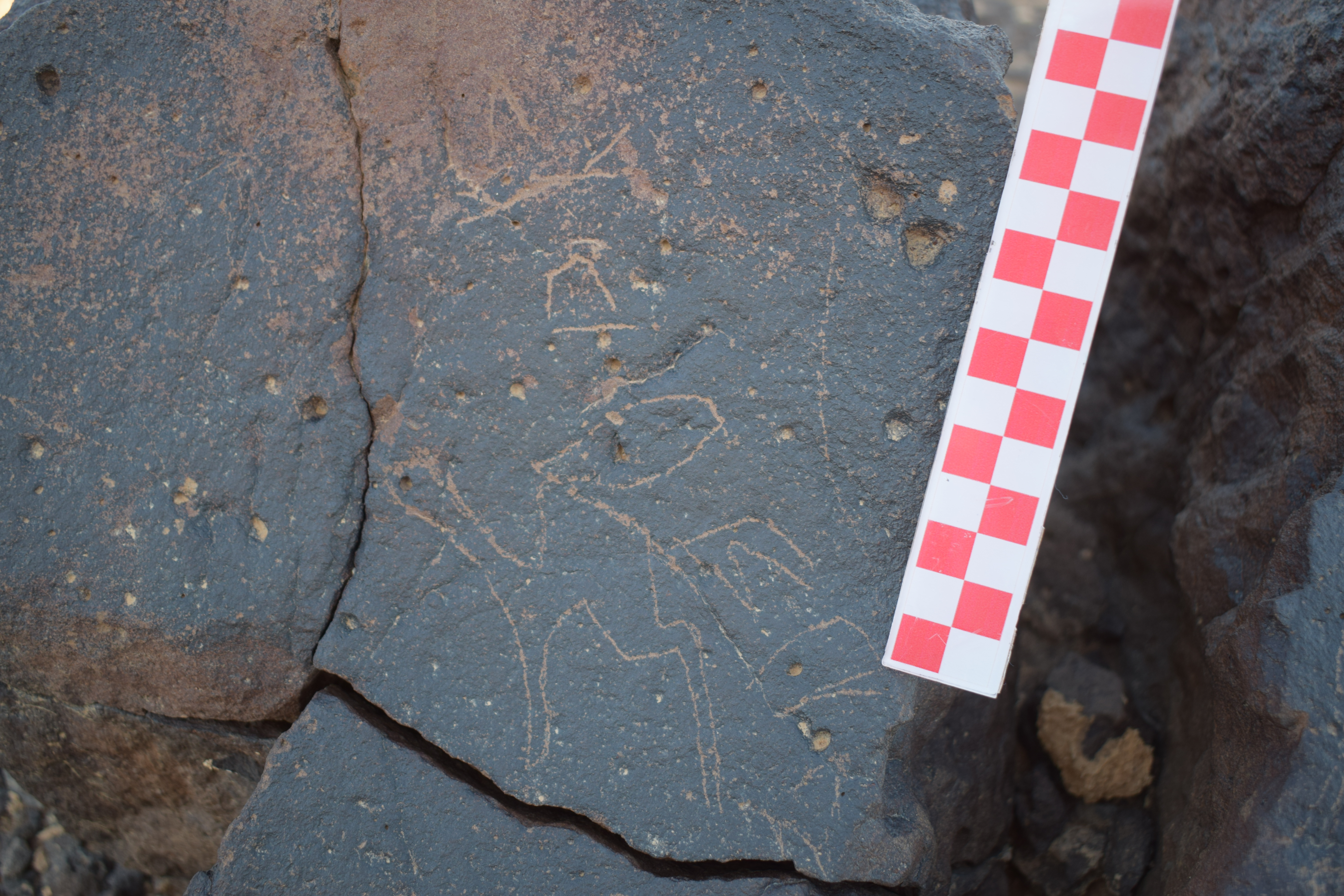 Image of siglum BES20 1650