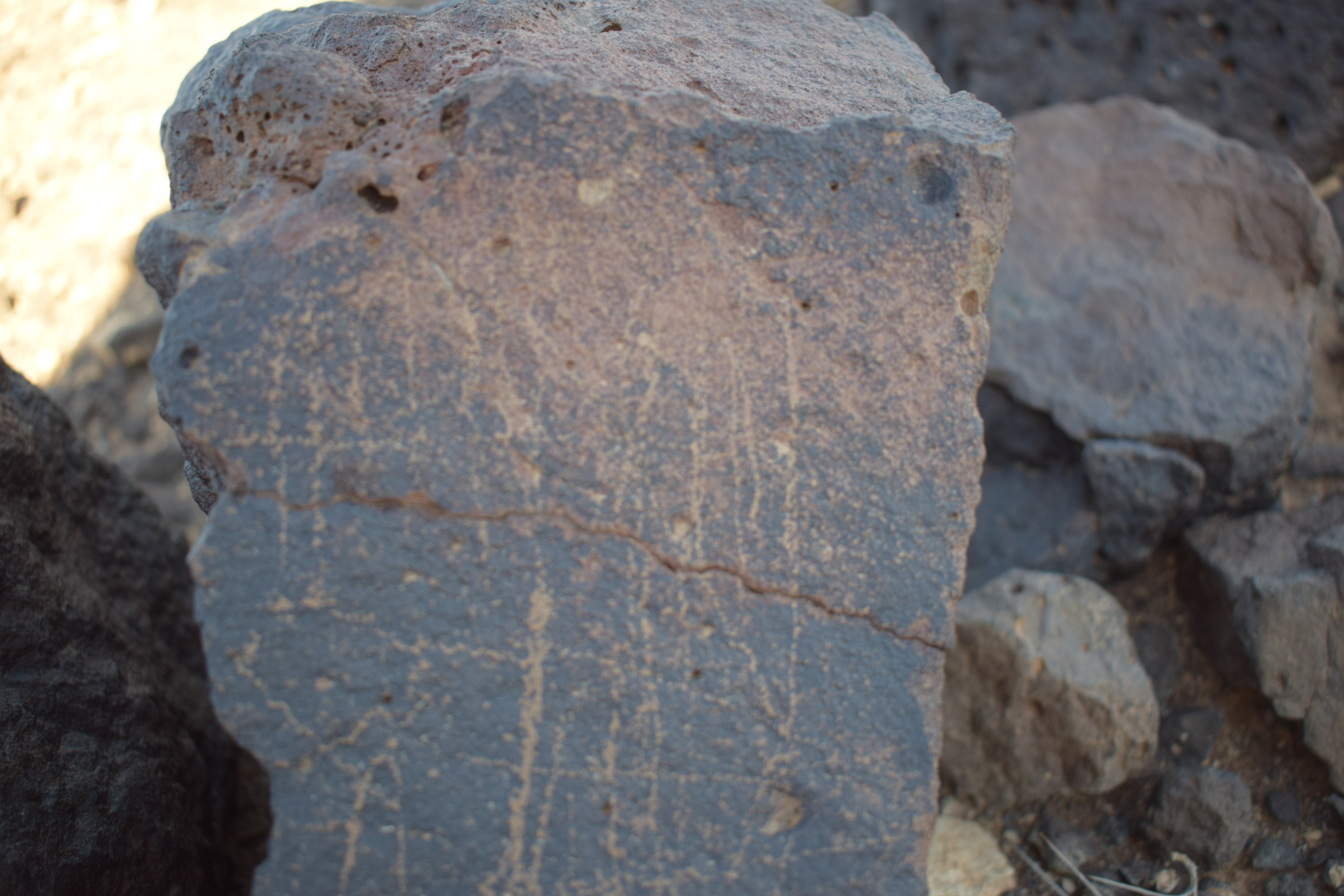 Image of siglum BES20 1650