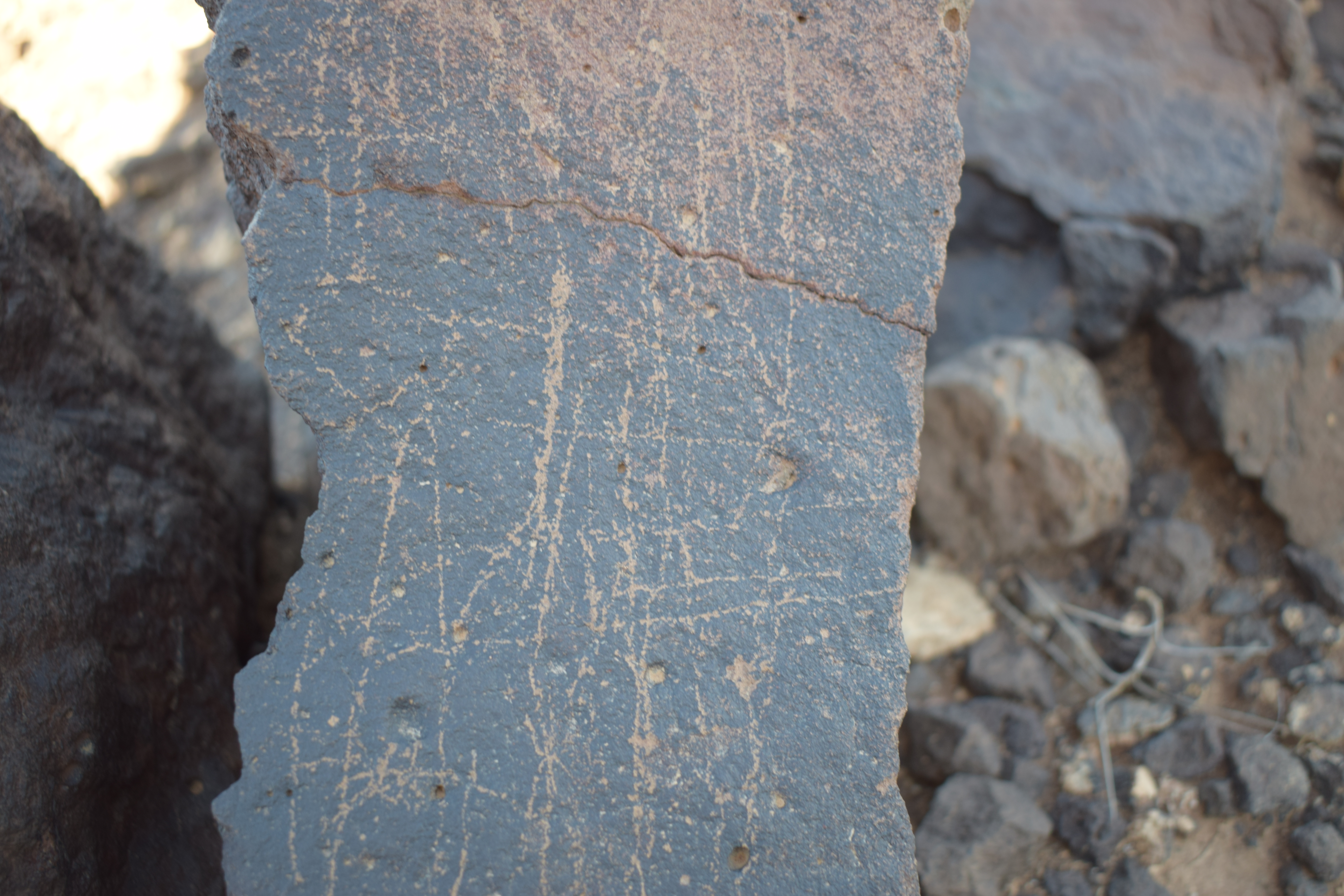 Image of siglum BES20 1650