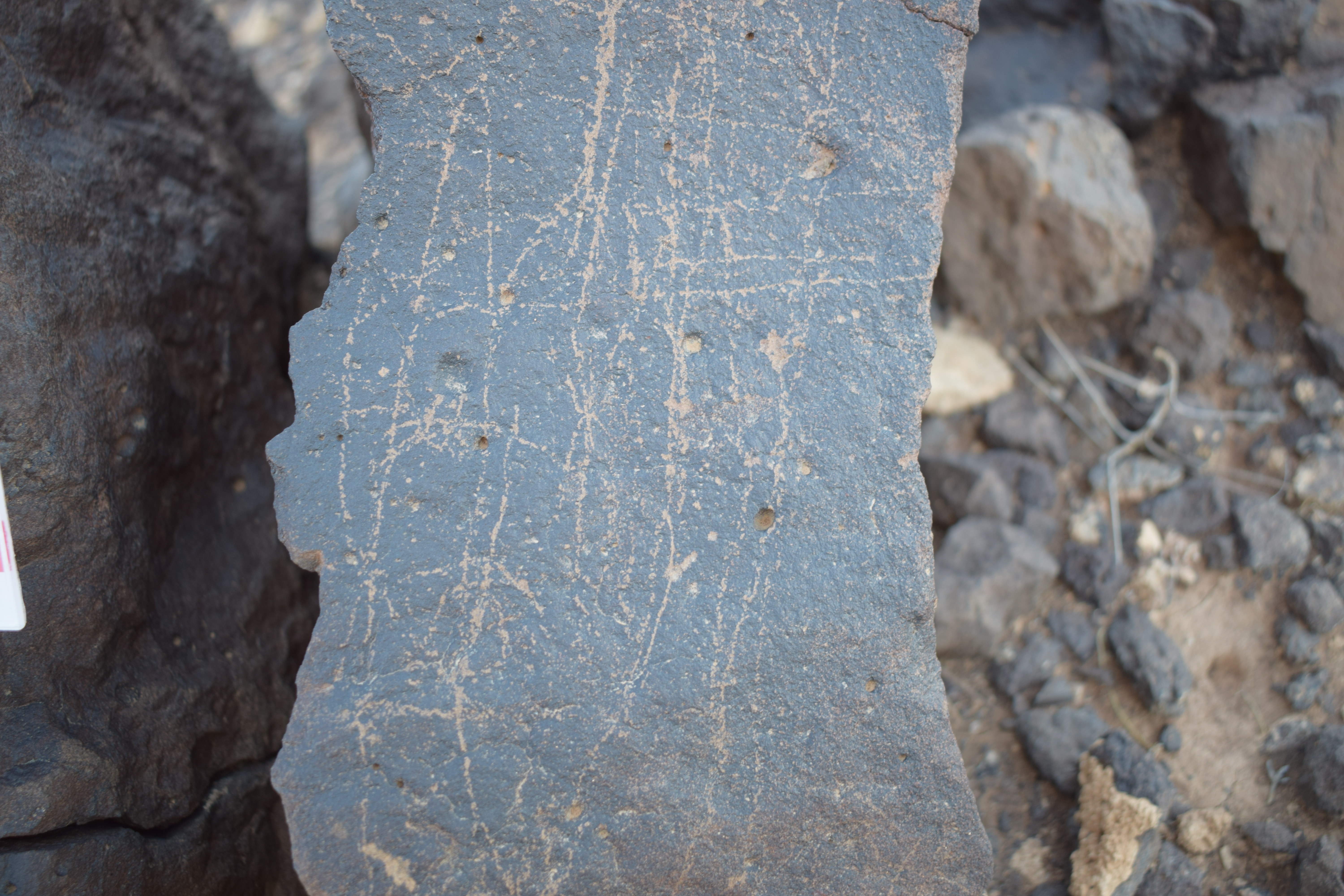 Image of siglum BES20 1650