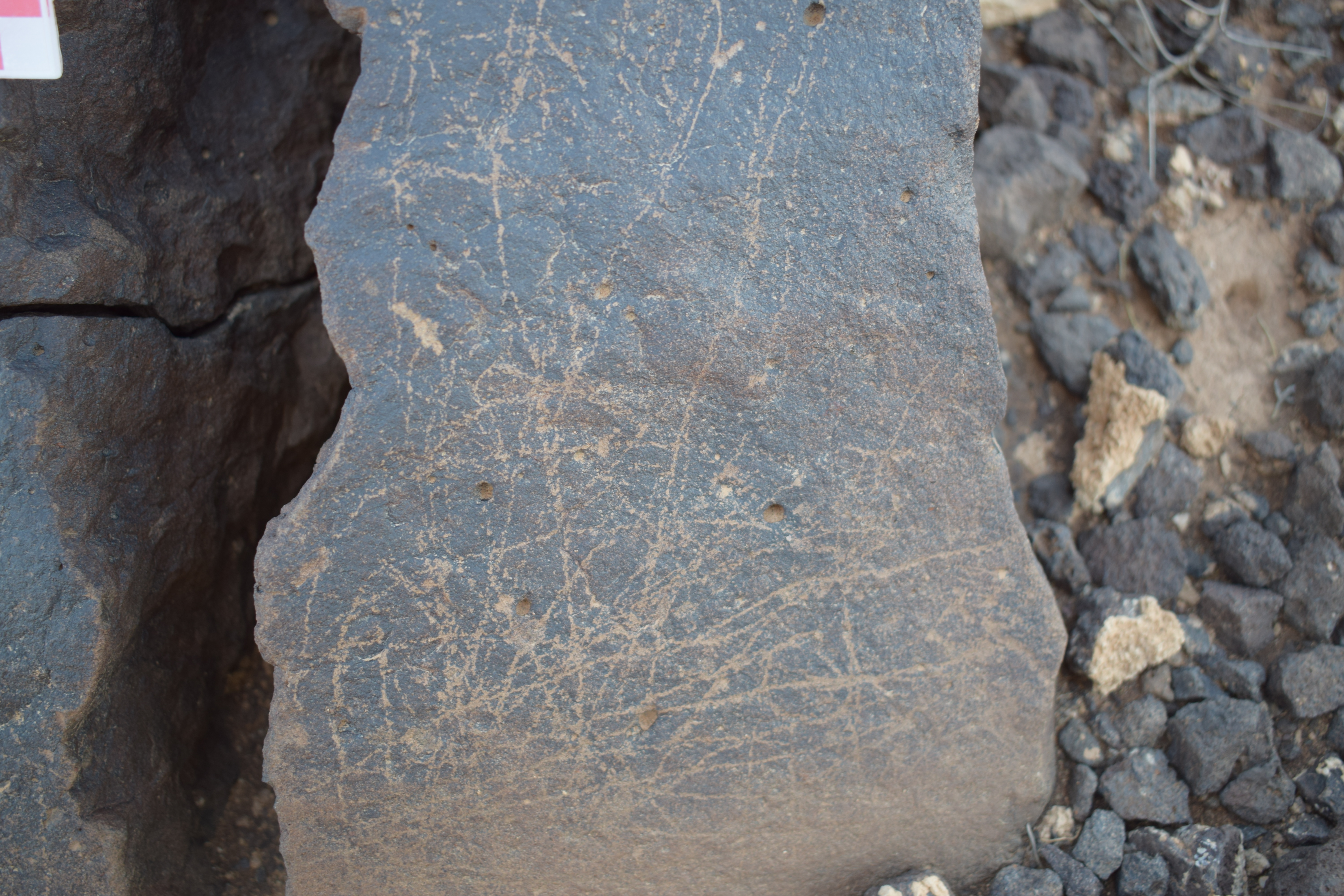 Image of siglum BES20 1650