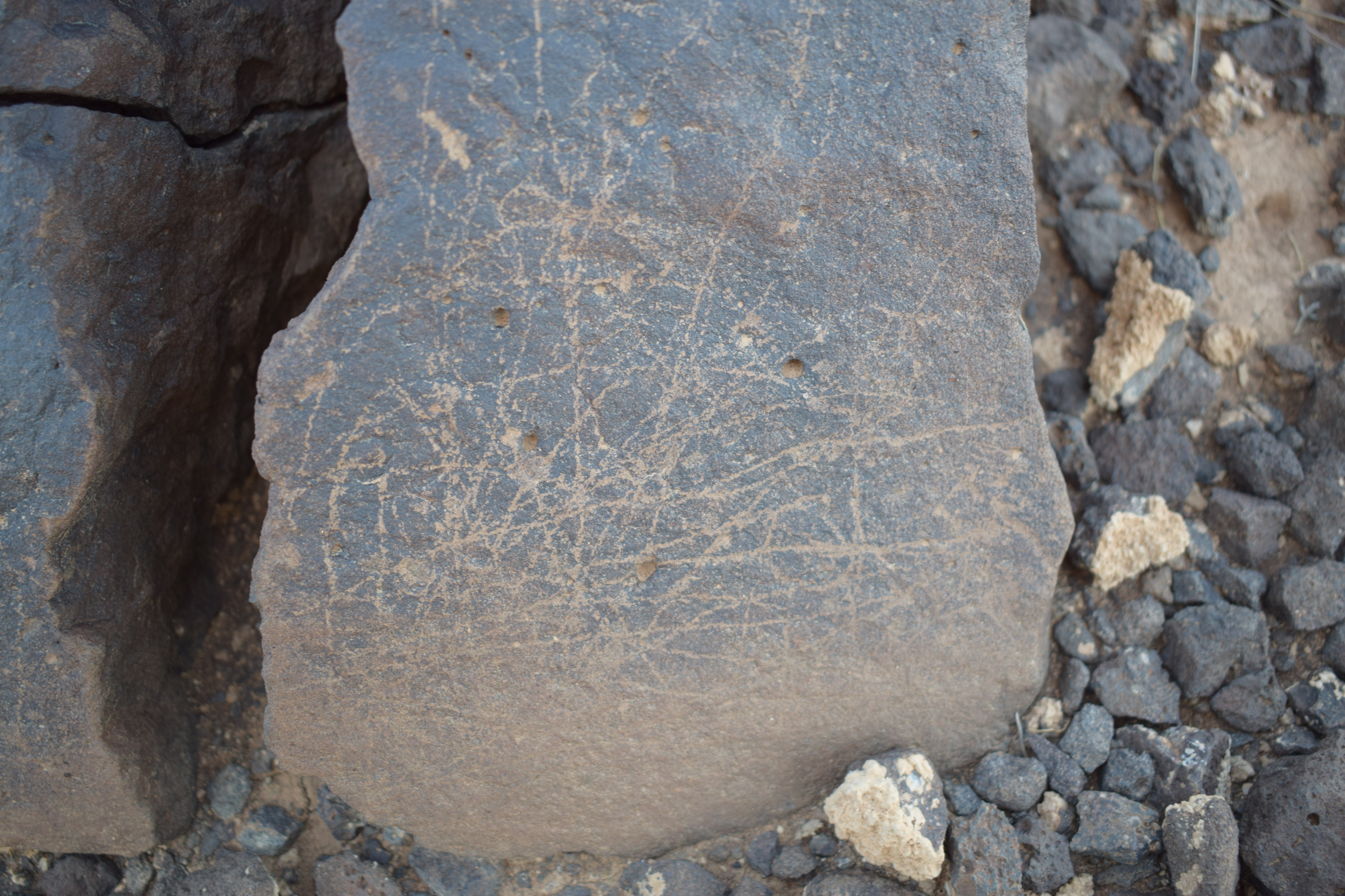 Image of siglum BES20 1650