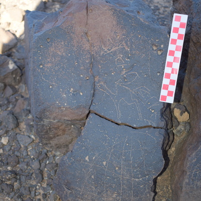 Image of siglum BES20 1650