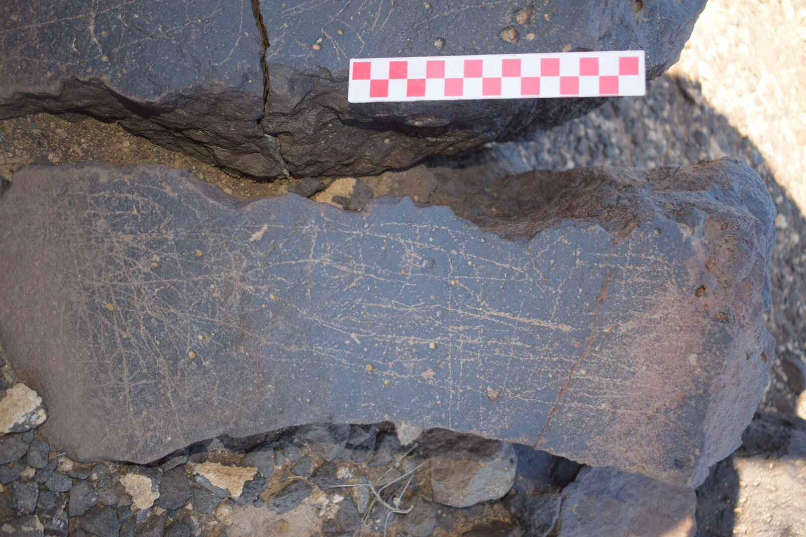 Image of siglum BES20 1650