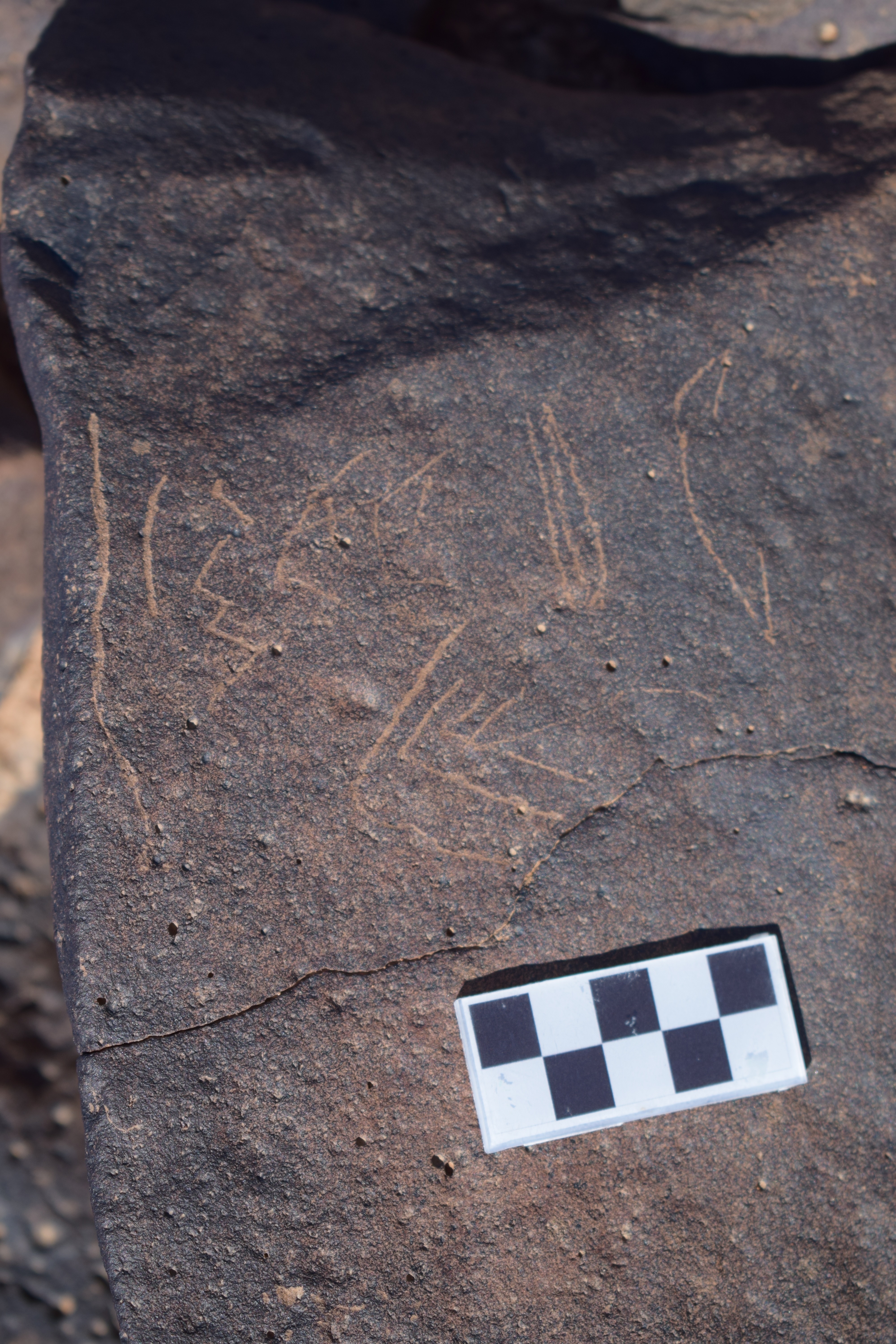 Image of siglum BES20 1651