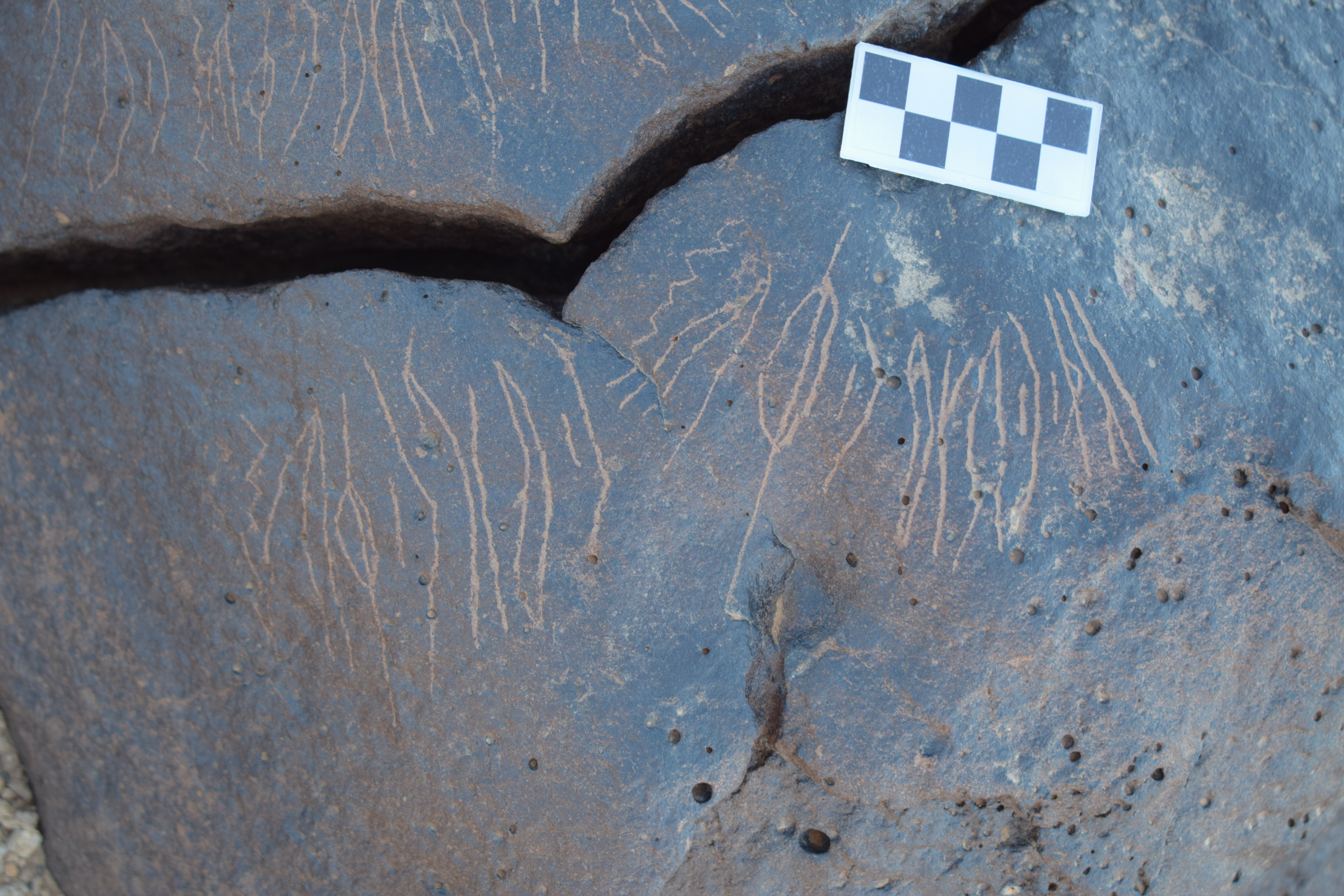 Image of siglum BES20 1652