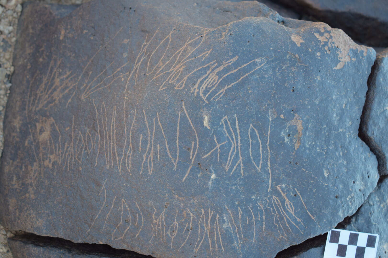 Image of siglum BES20 1653