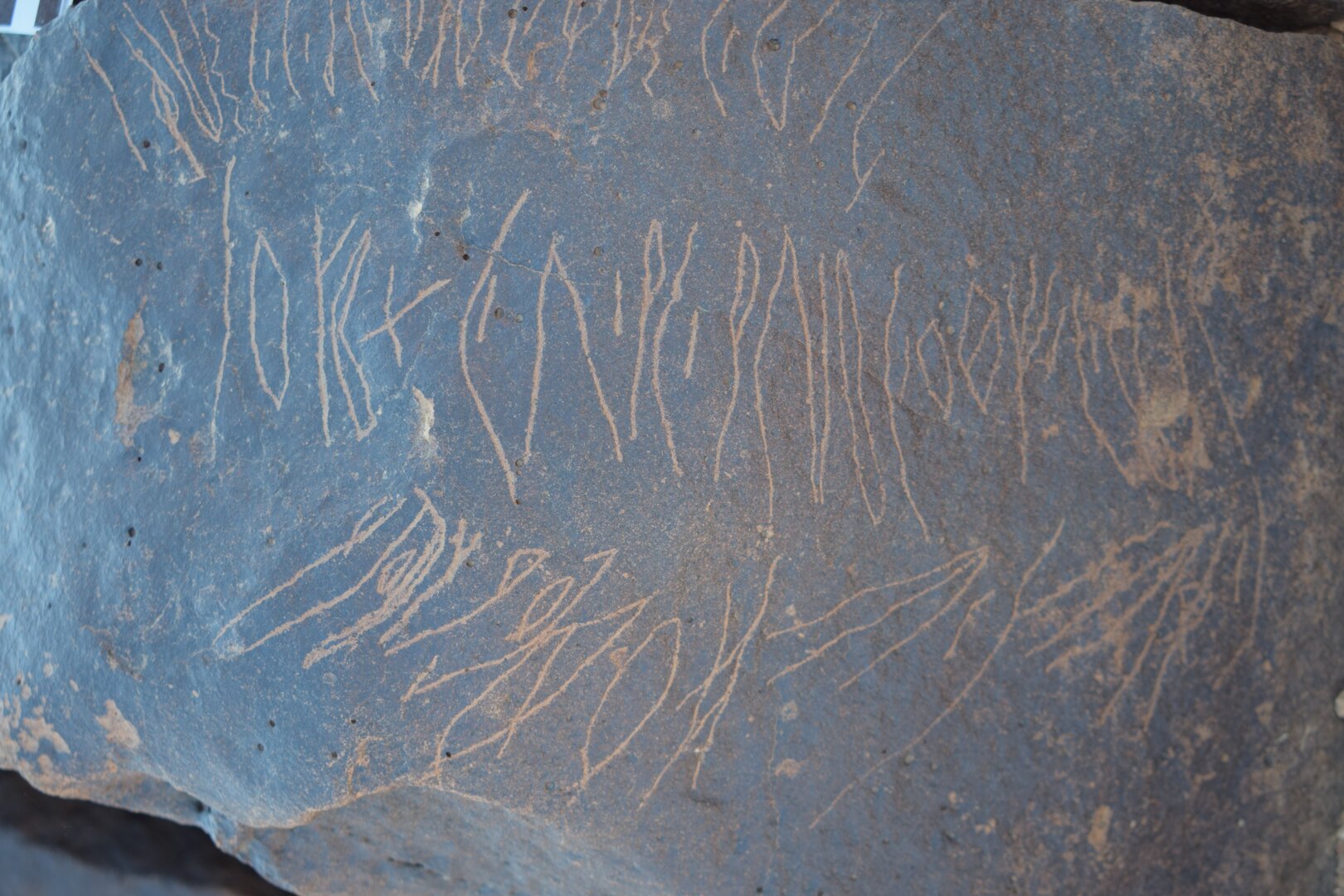 Image of siglum BES20 1654