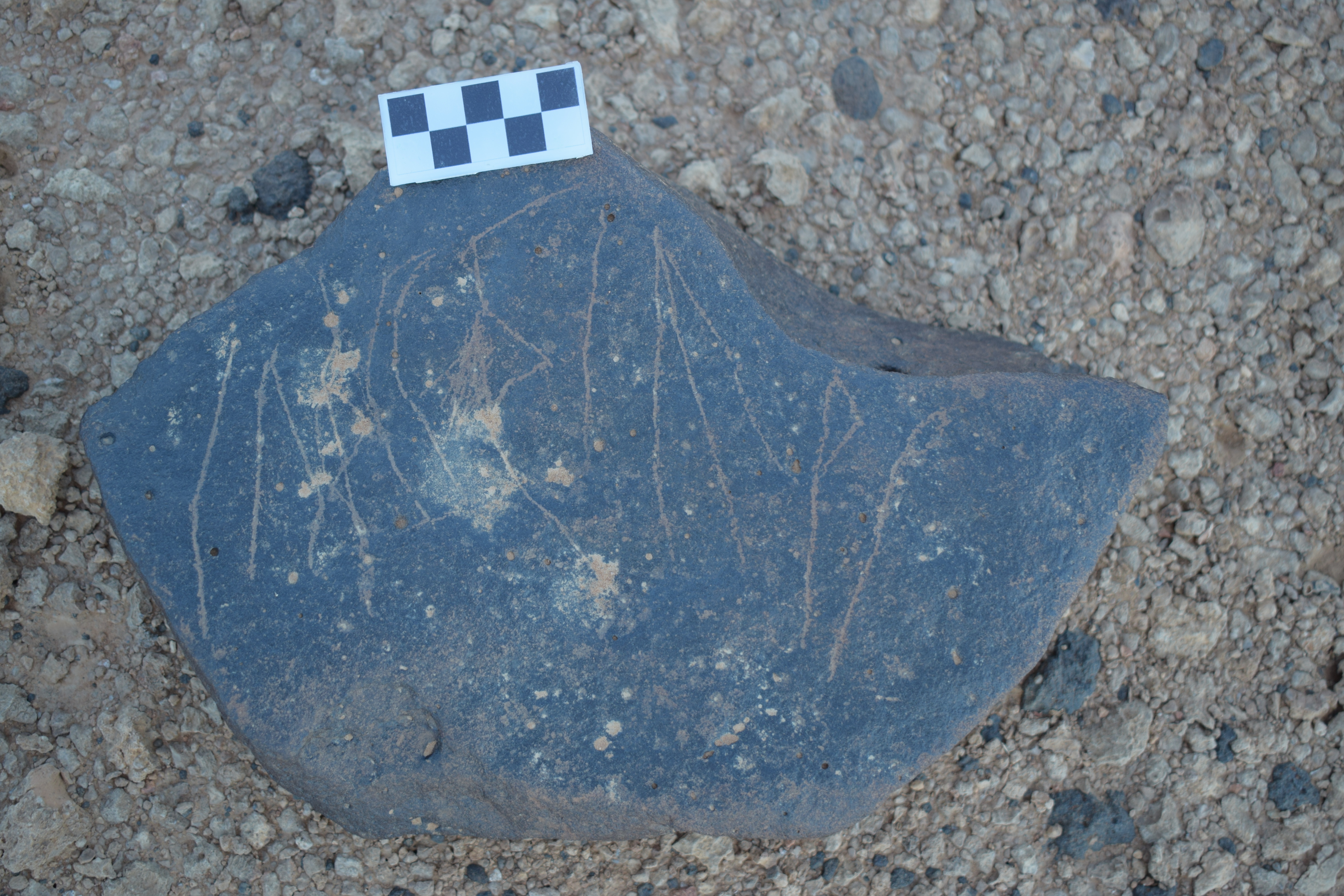 Image of siglum BES20 1655