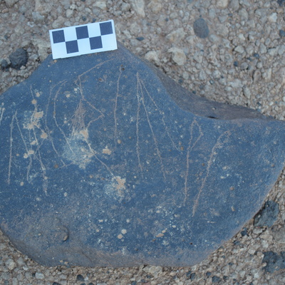 Image of siglum BES20 1655