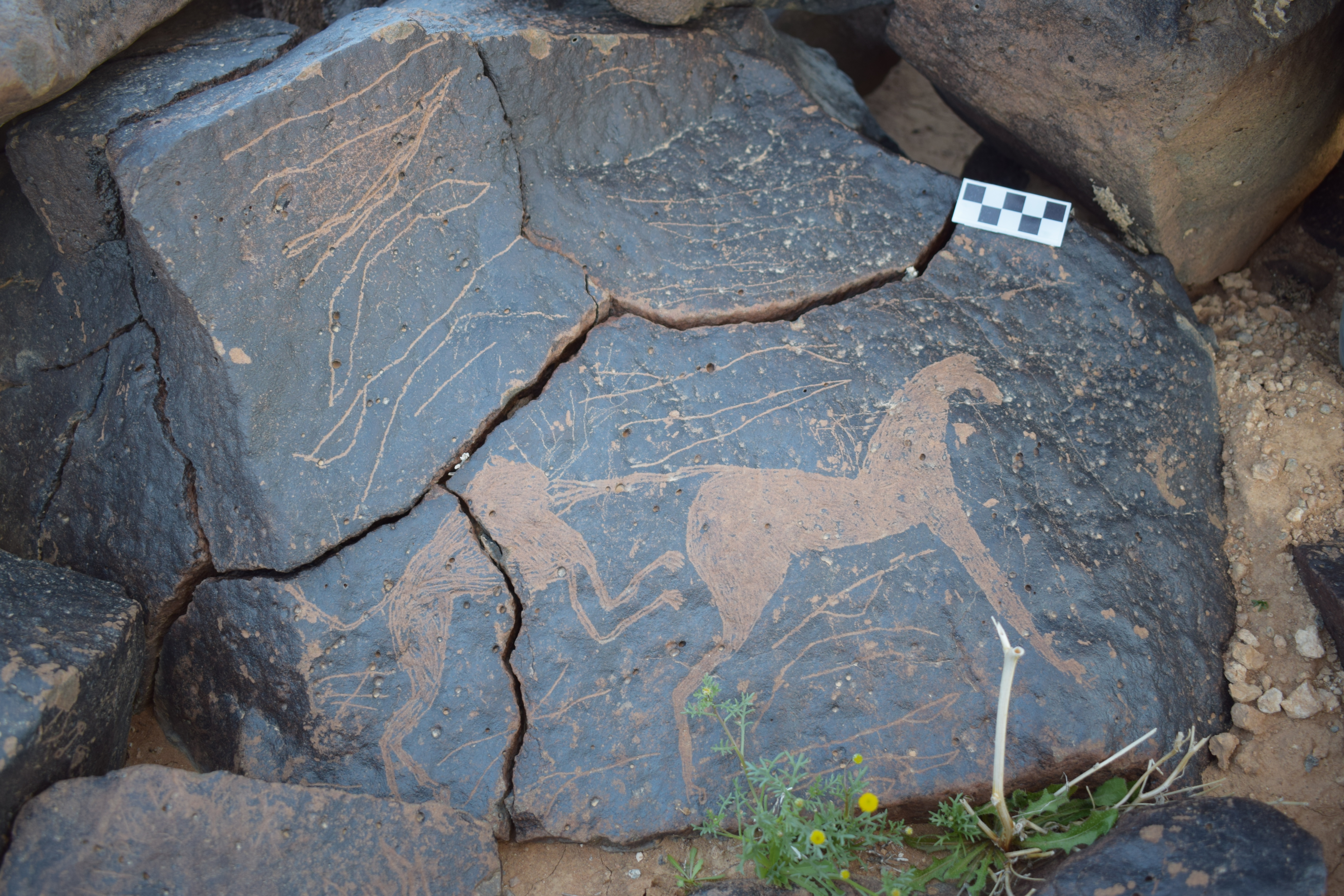 Image of siglum BES20 1657