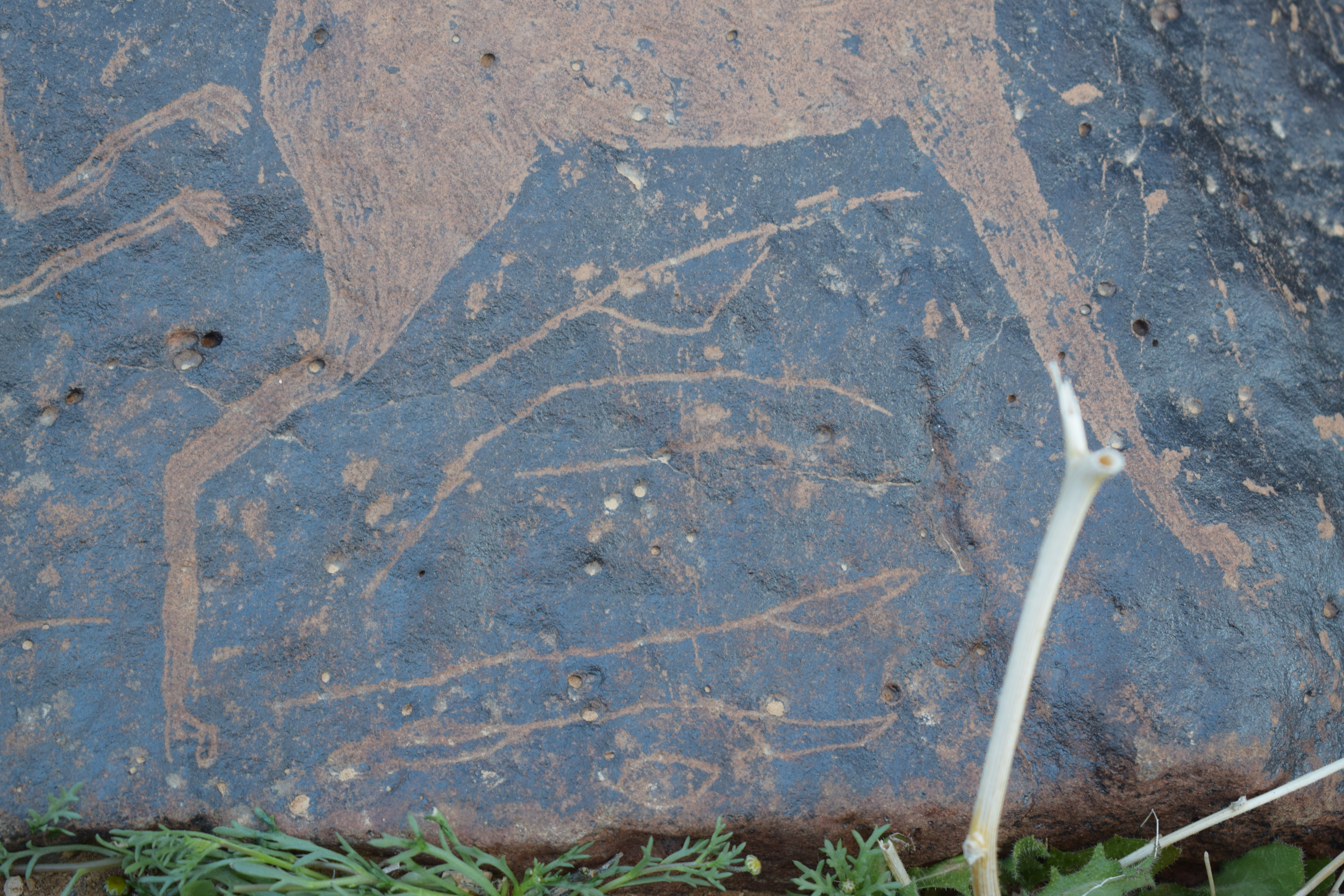 Image of siglum BES20 1657