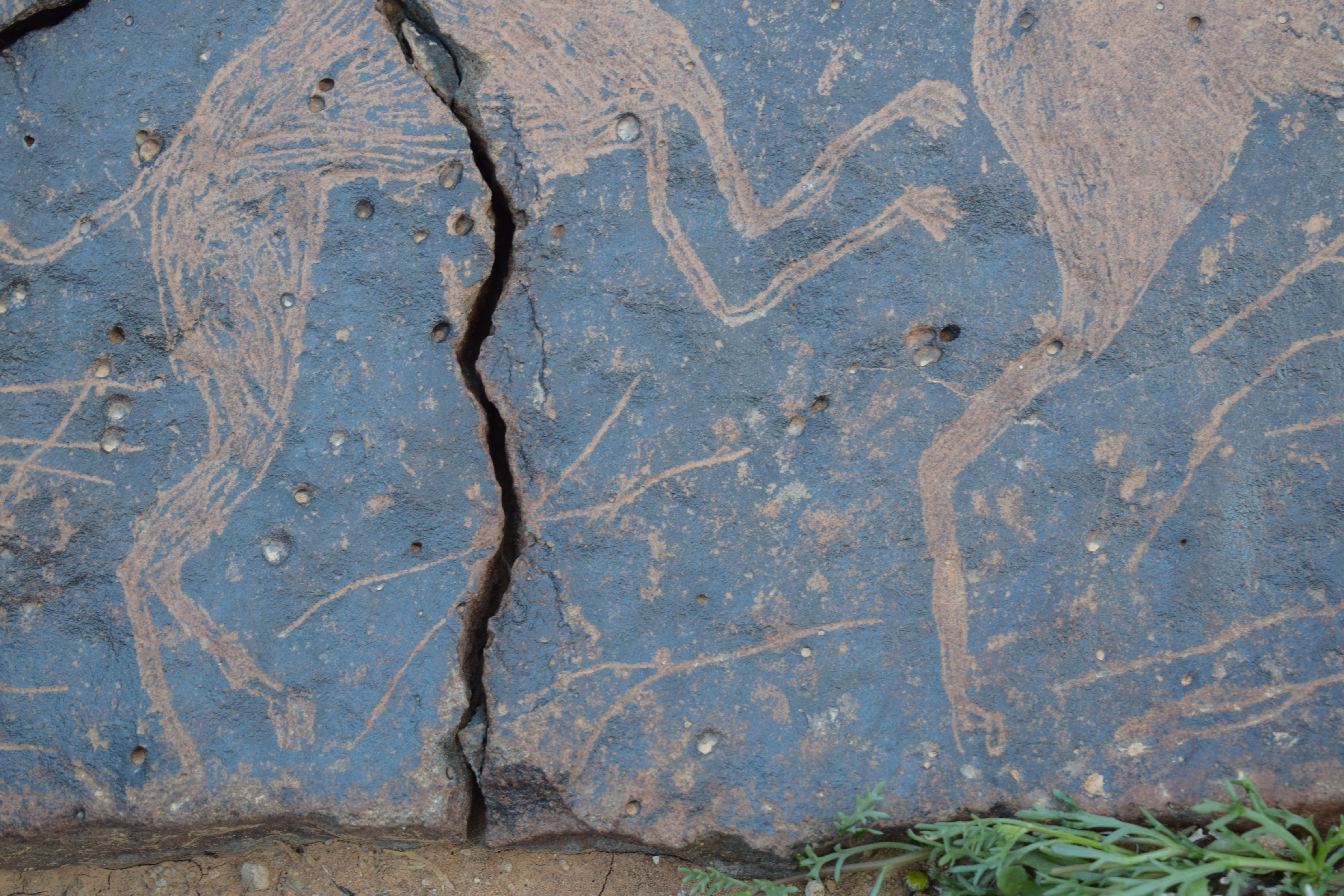 Image of siglum BES20 1657