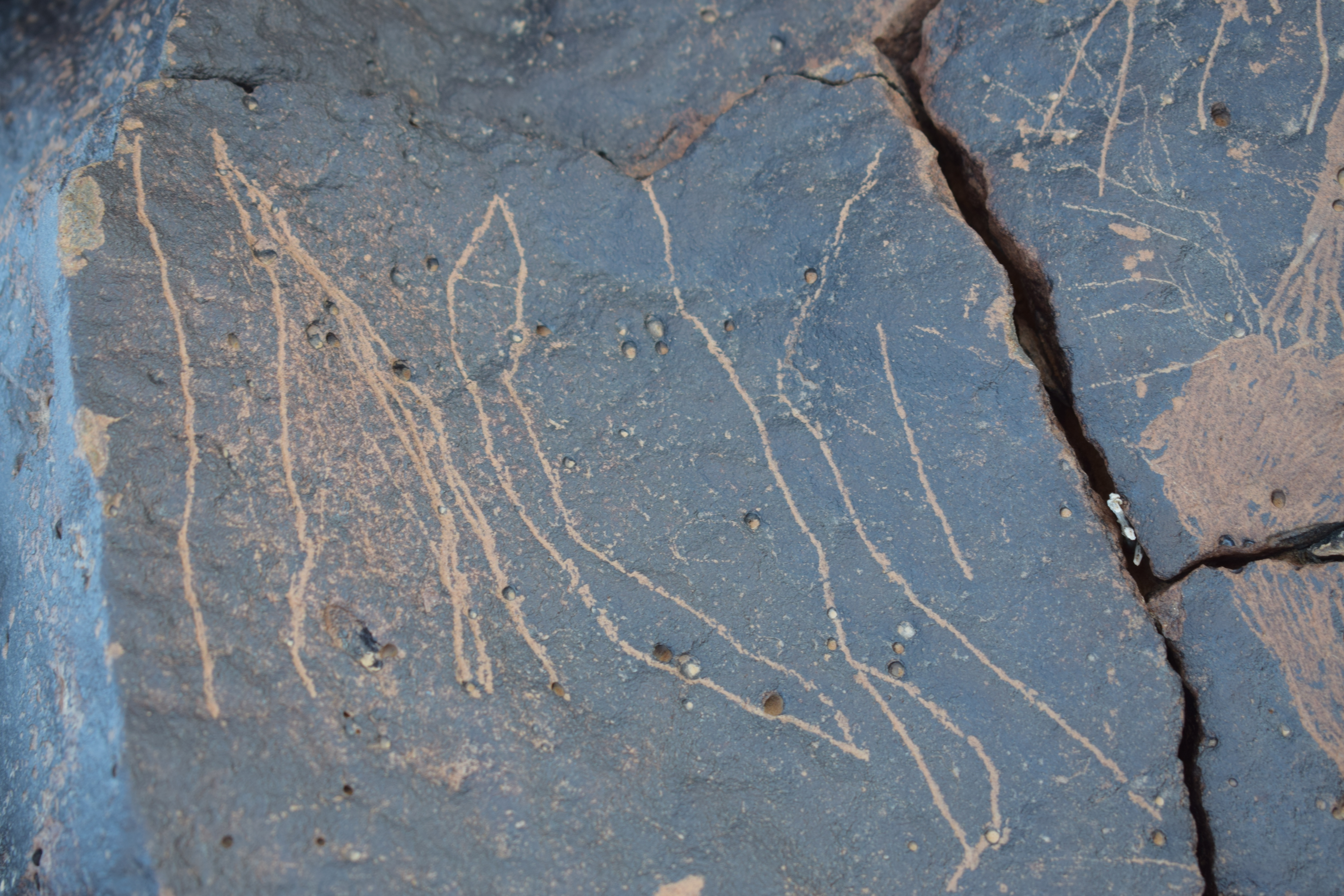 Image of siglum BES20 1657