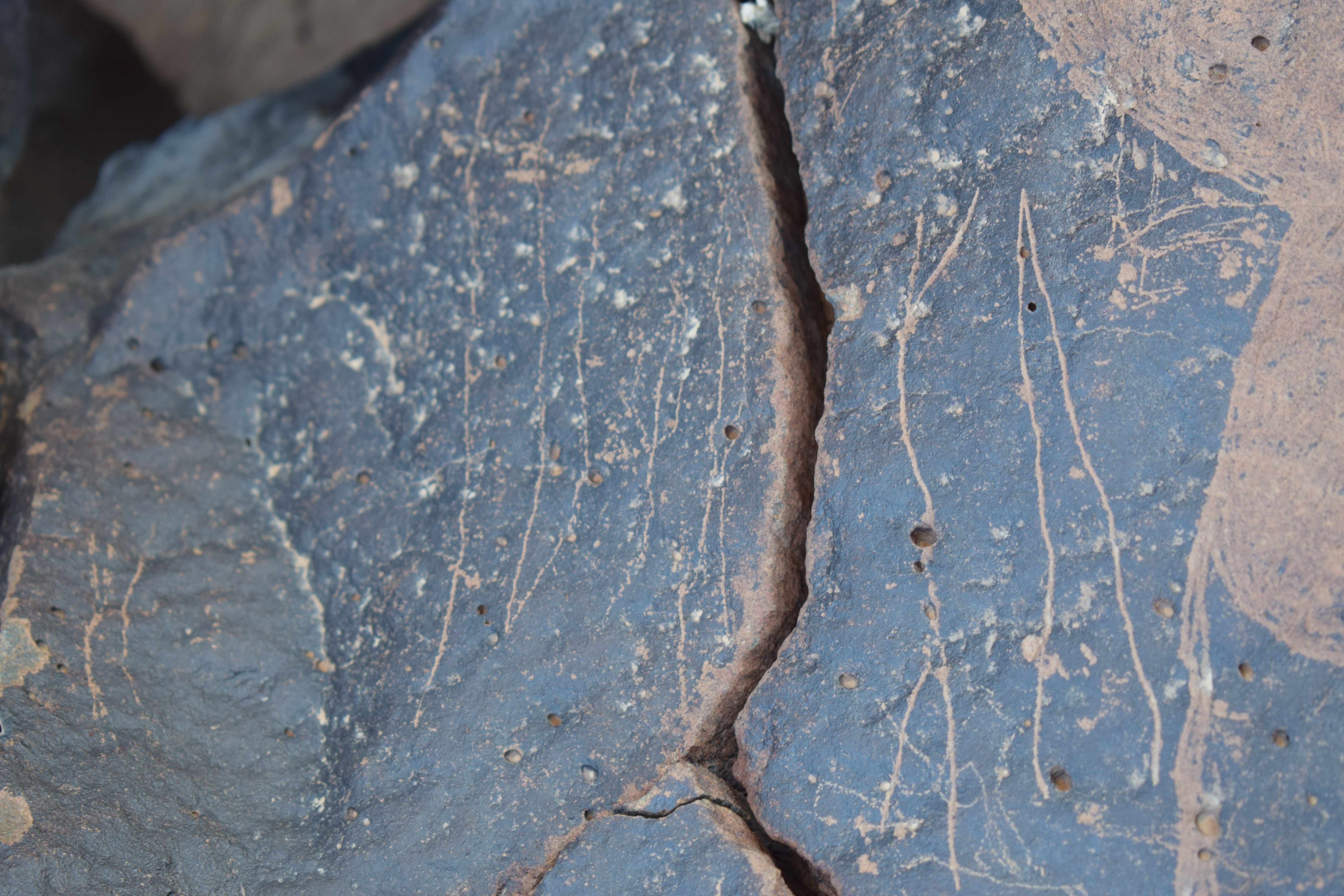 Image of siglum BES20 1657