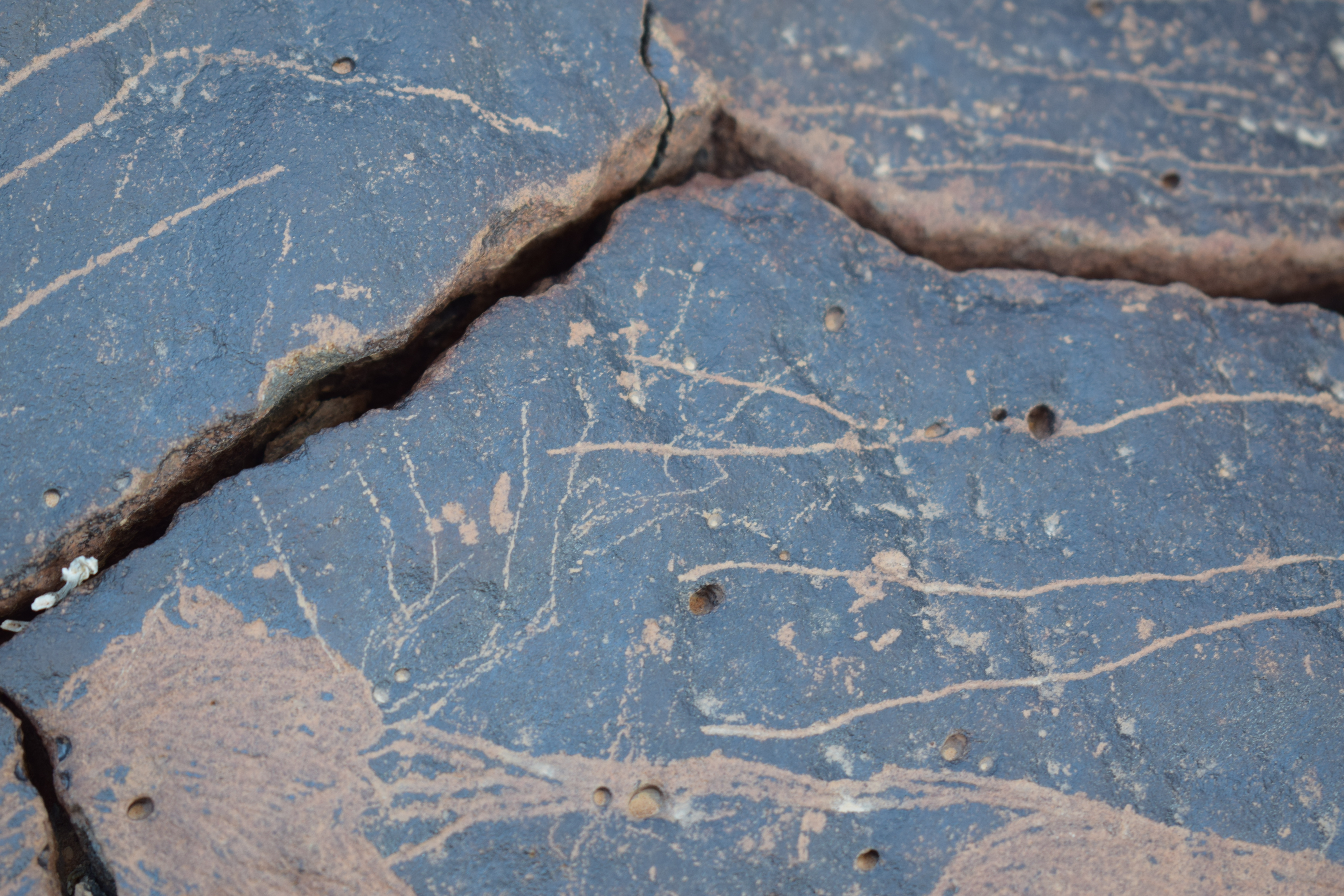 Image of siglum BES20 1657