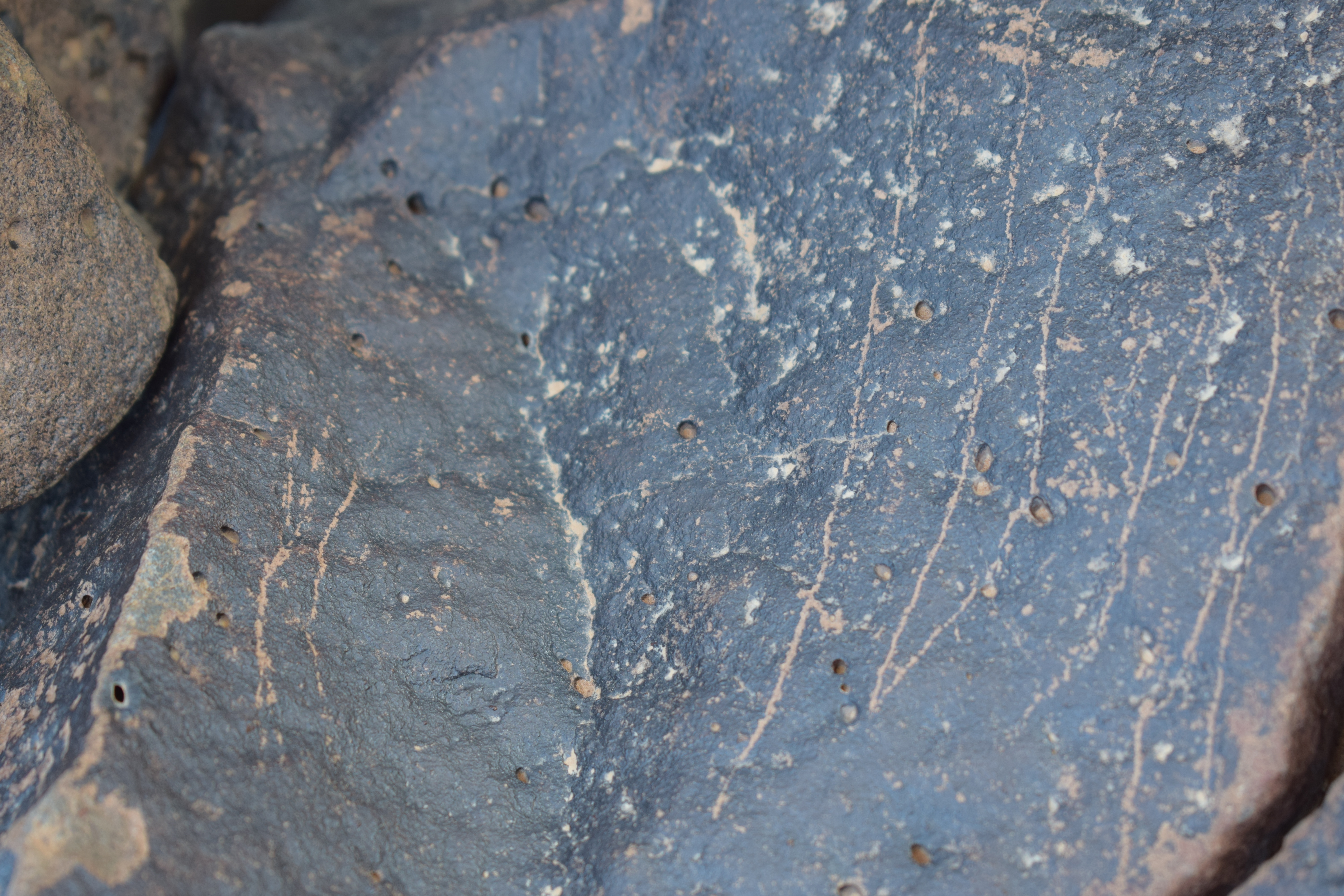 Image of siglum BES20 1657