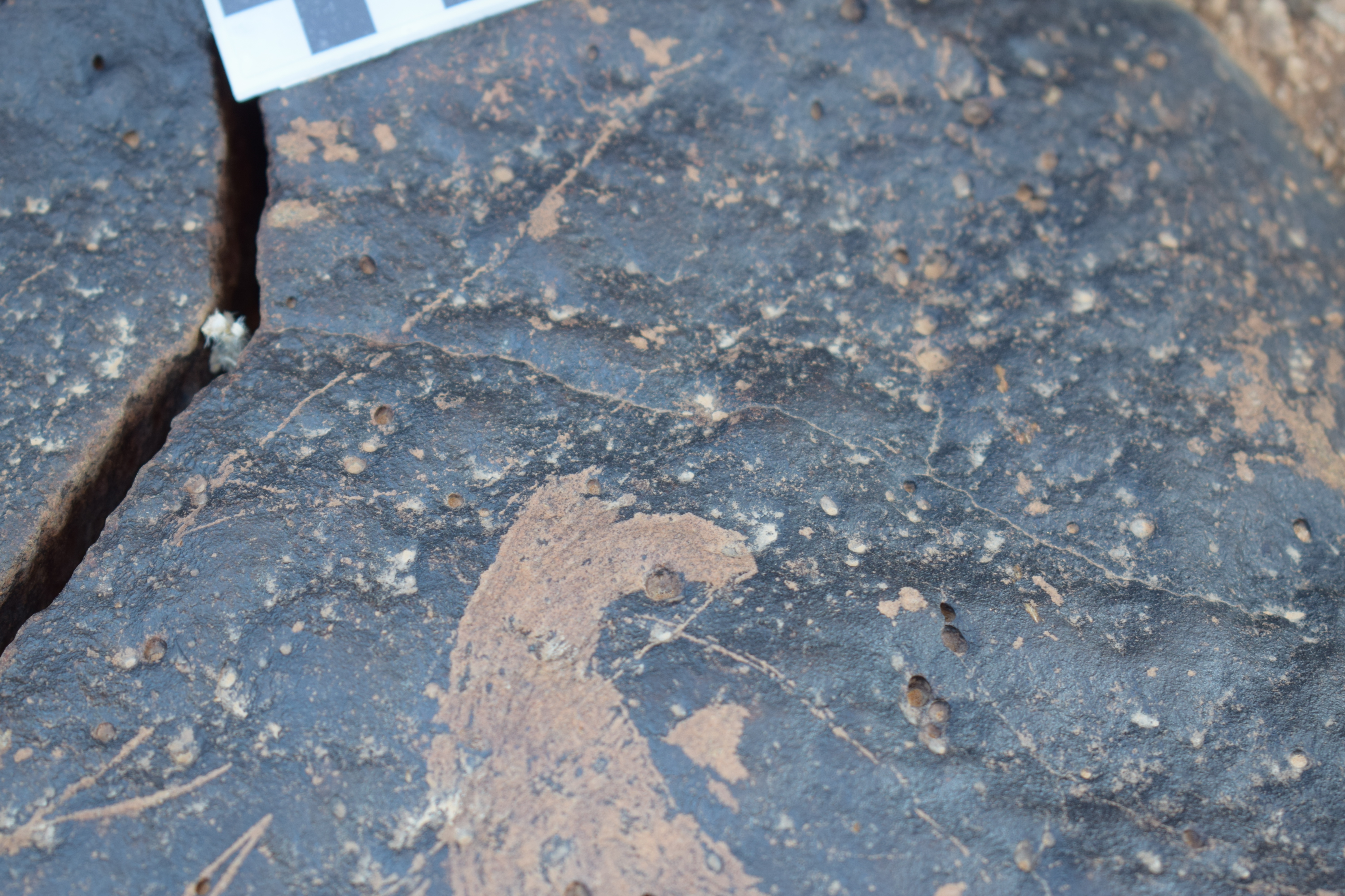 Image of siglum BES20 1657