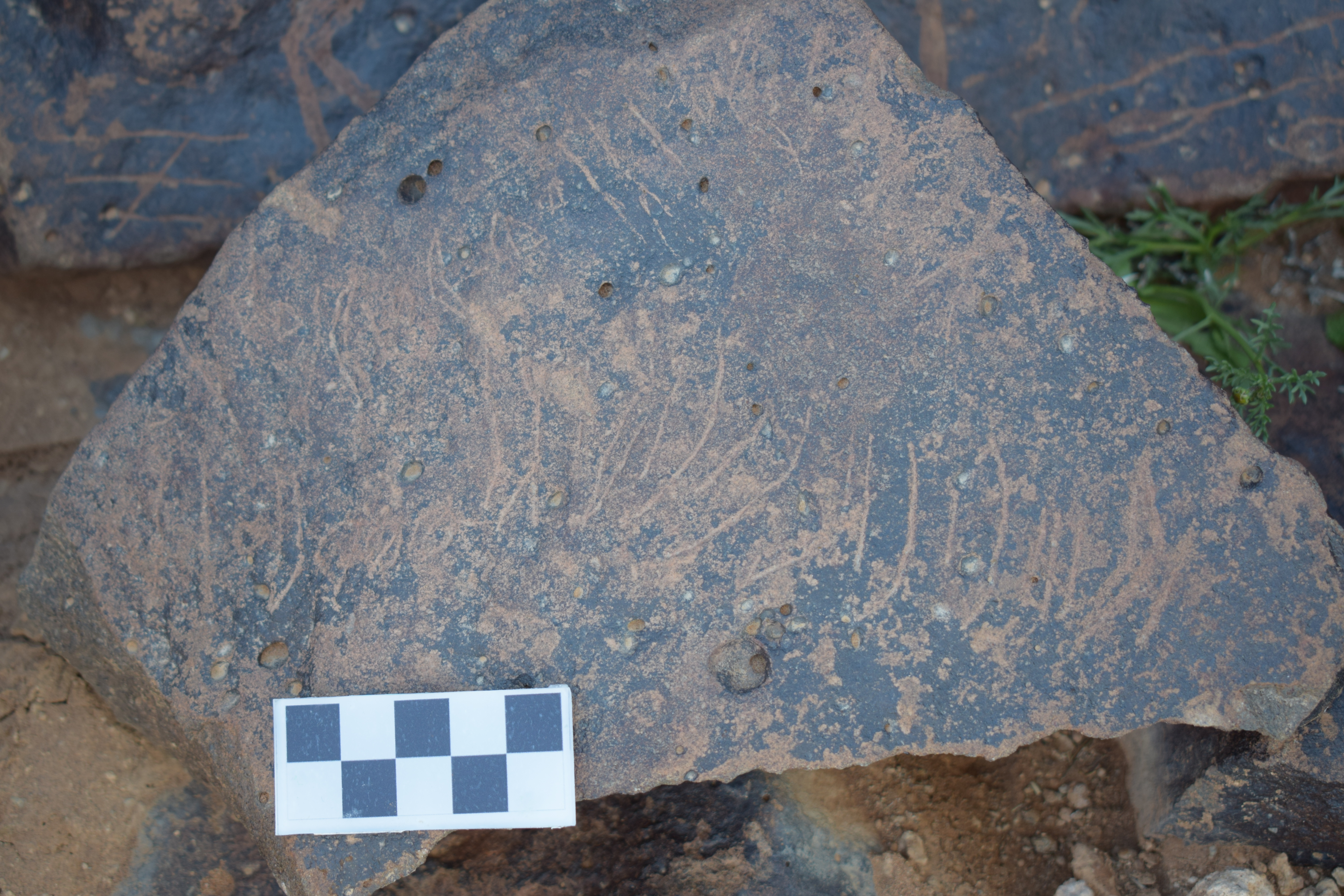 Image of siglum BES20 1658