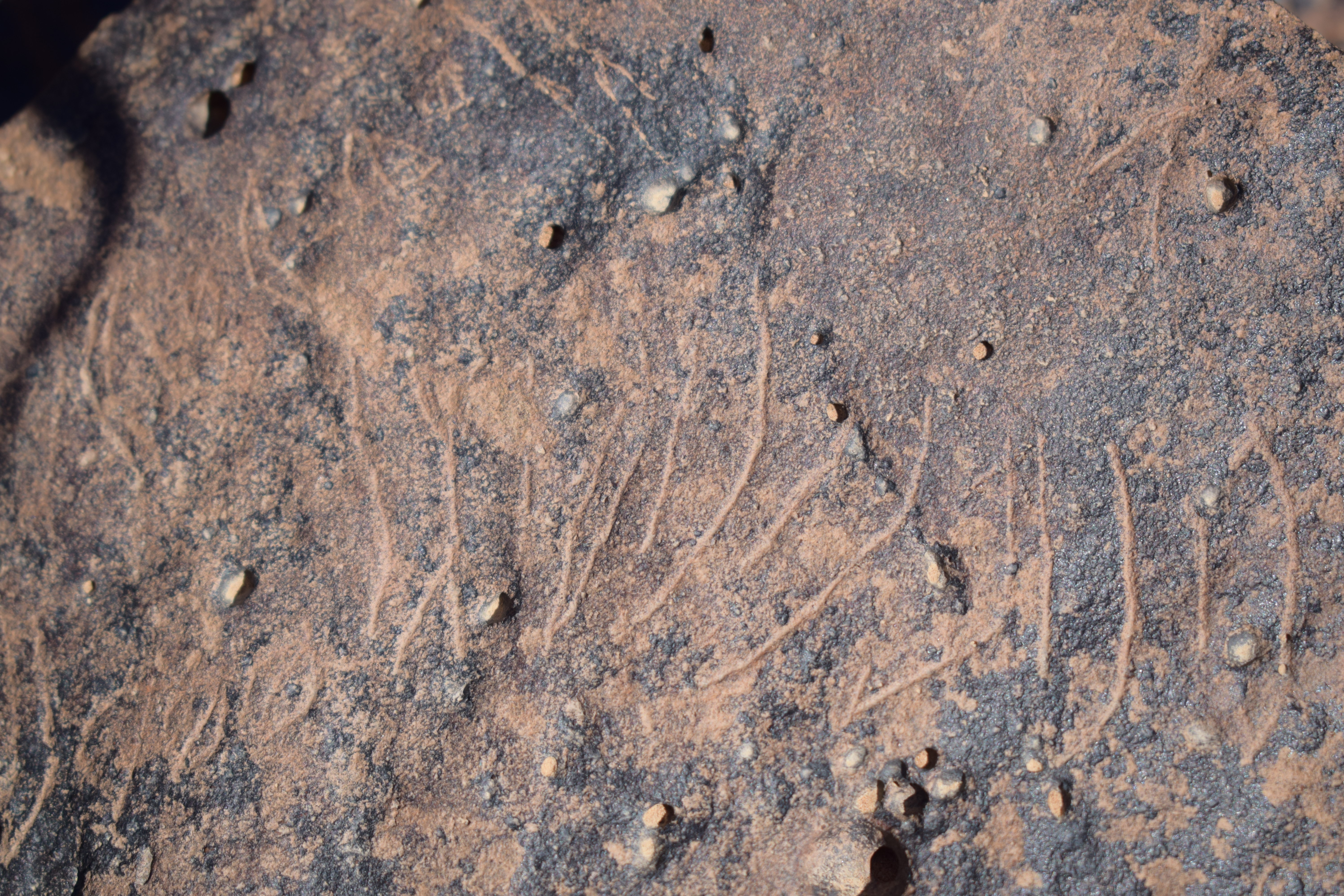 Image of siglum BES20 1658