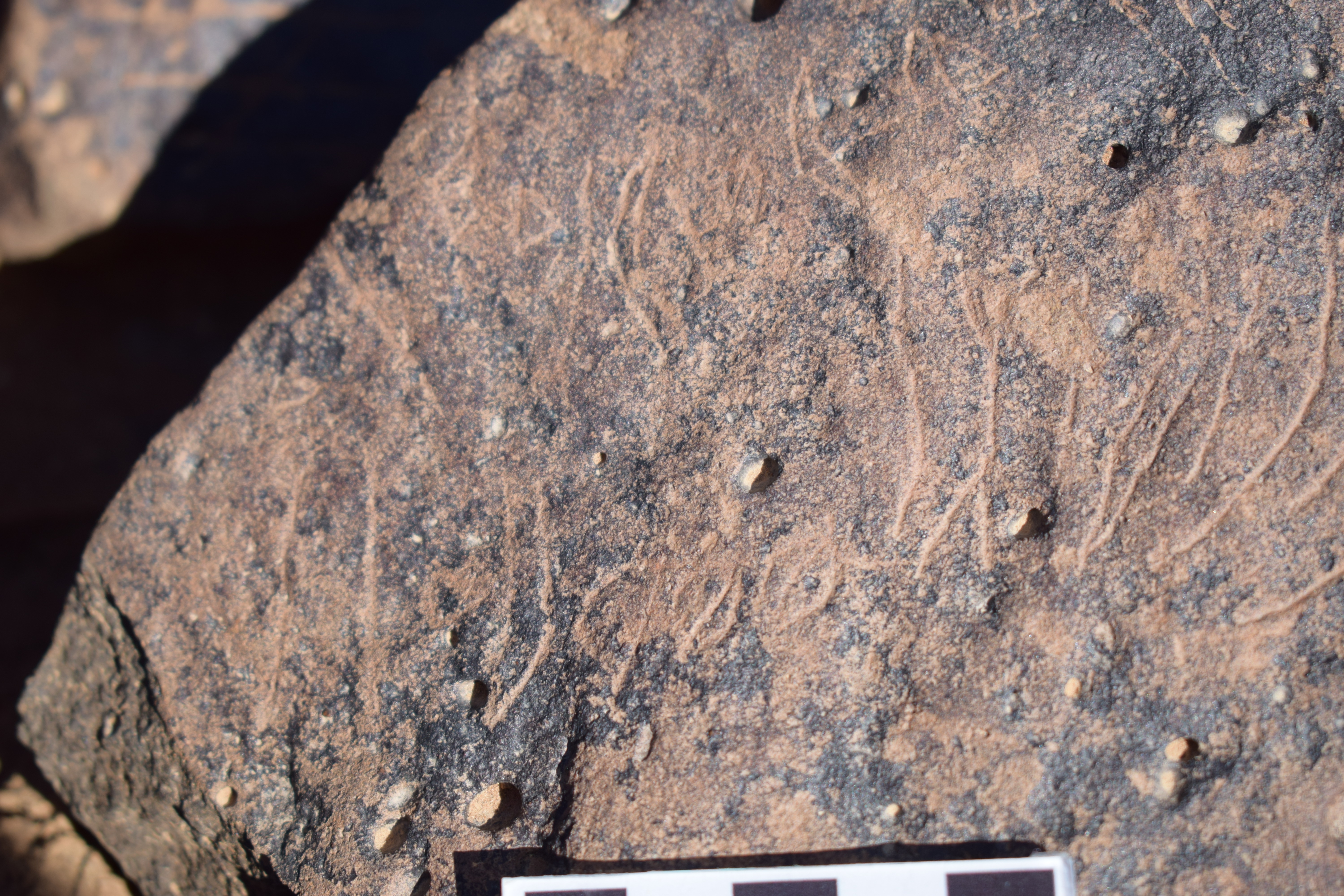 Image of siglum BES20 1658