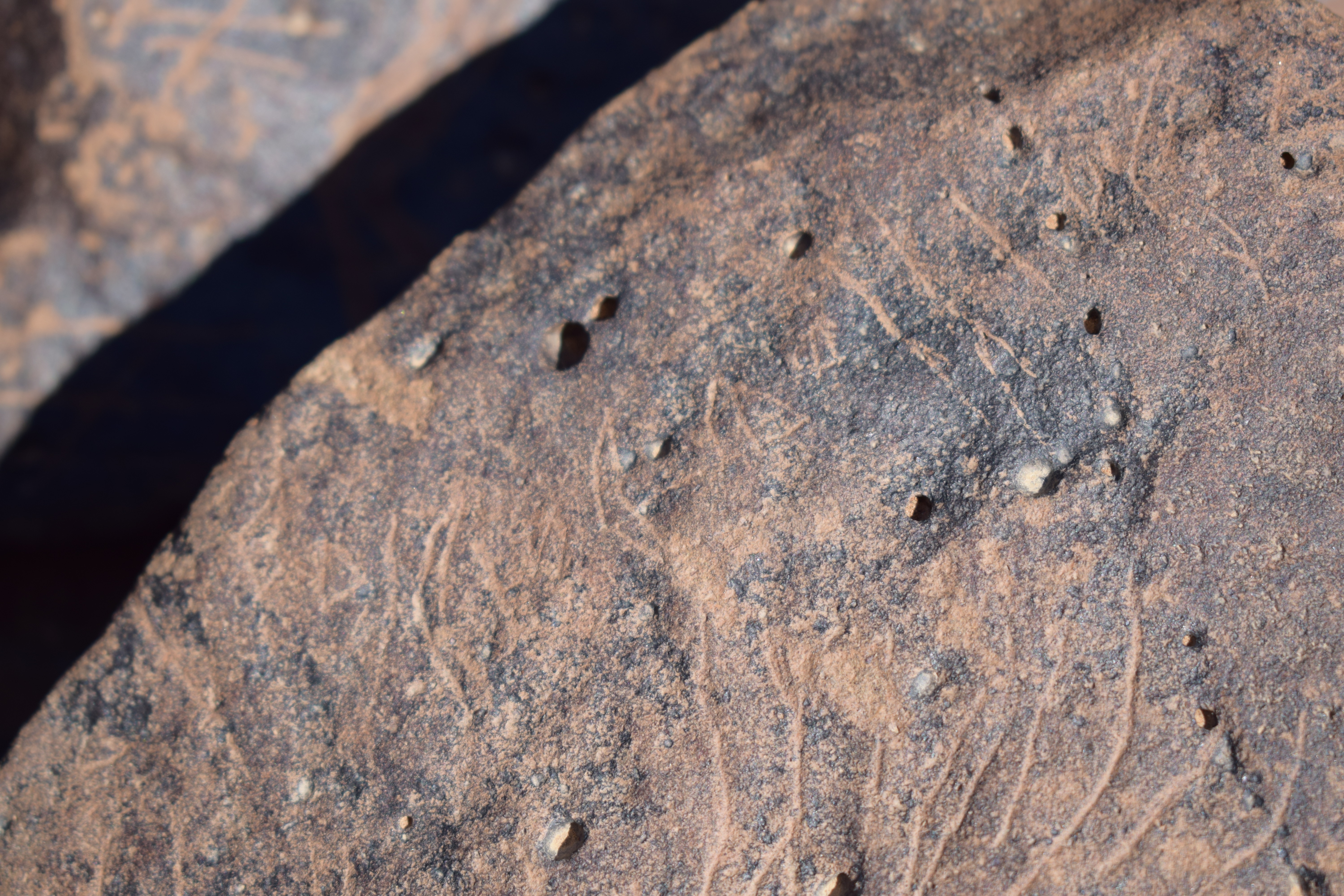 Image of siglum BES20 1658