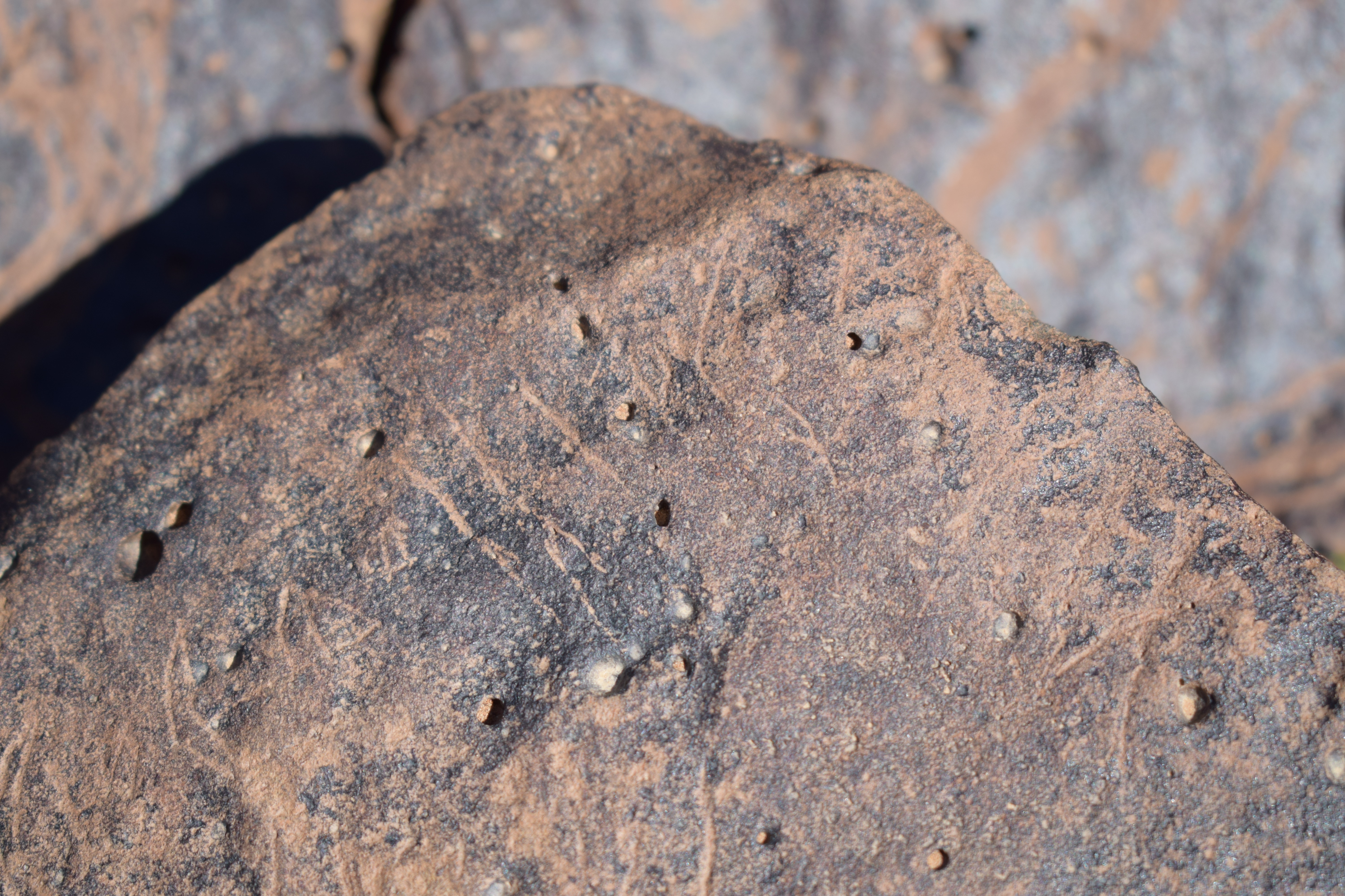 Image of siglum BES20 1658