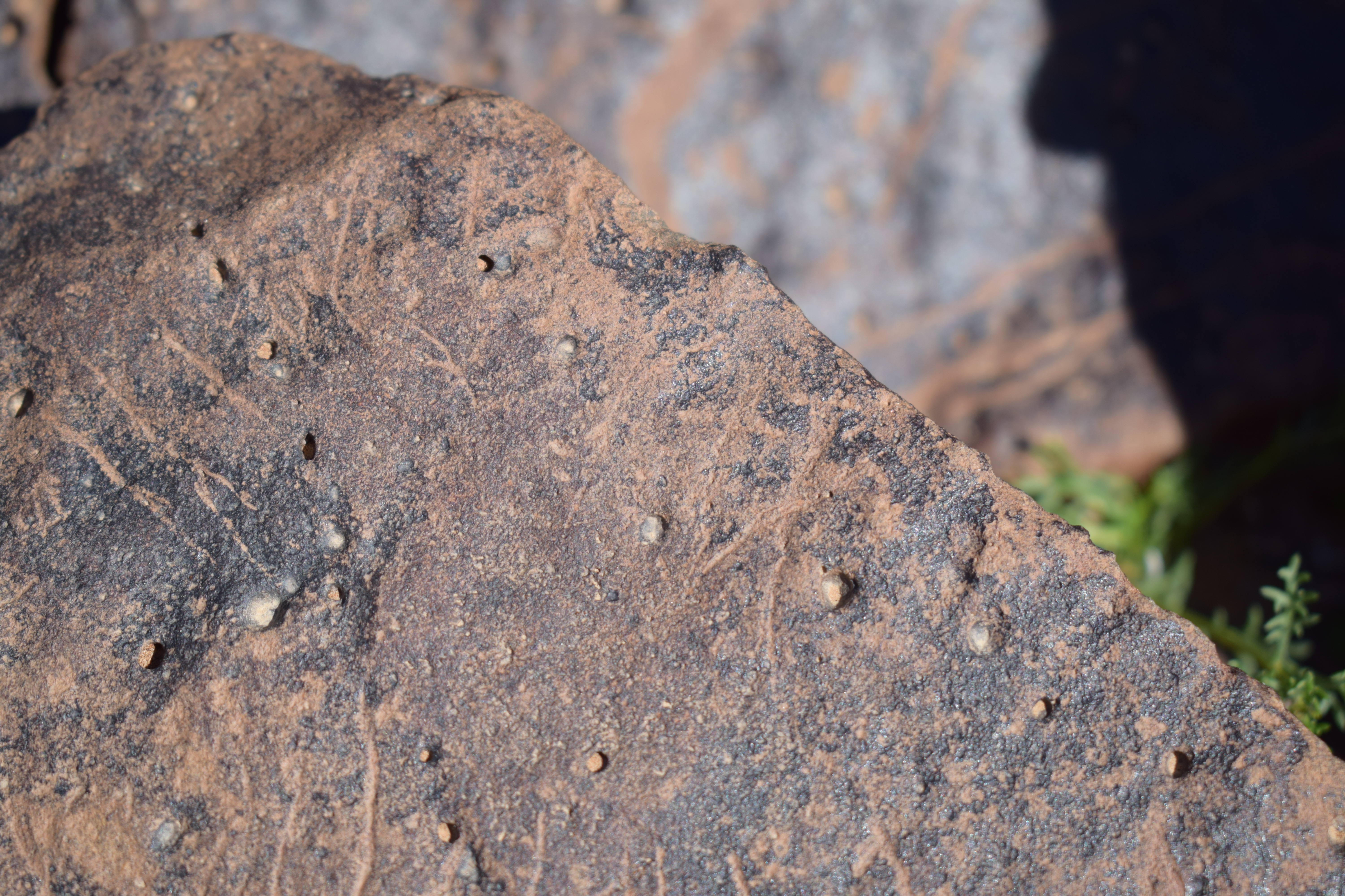 Image of siglum BES20 1658