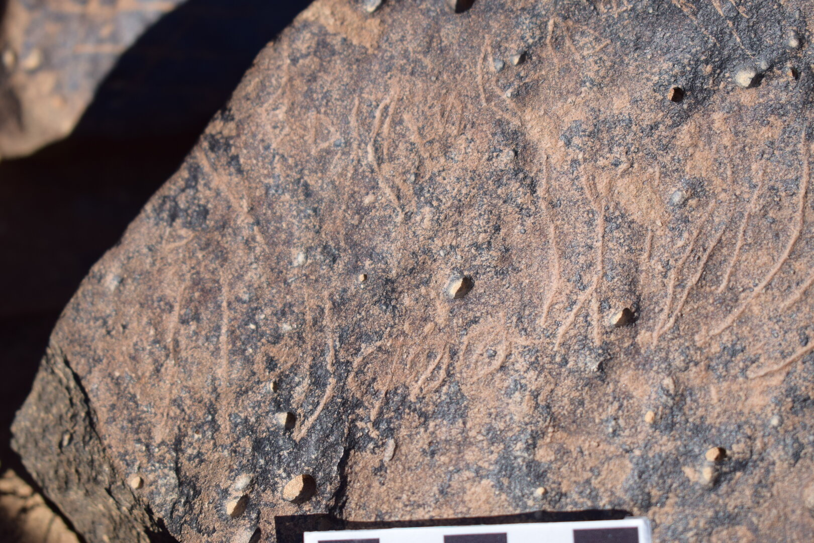 Image of siglum BES20 1658