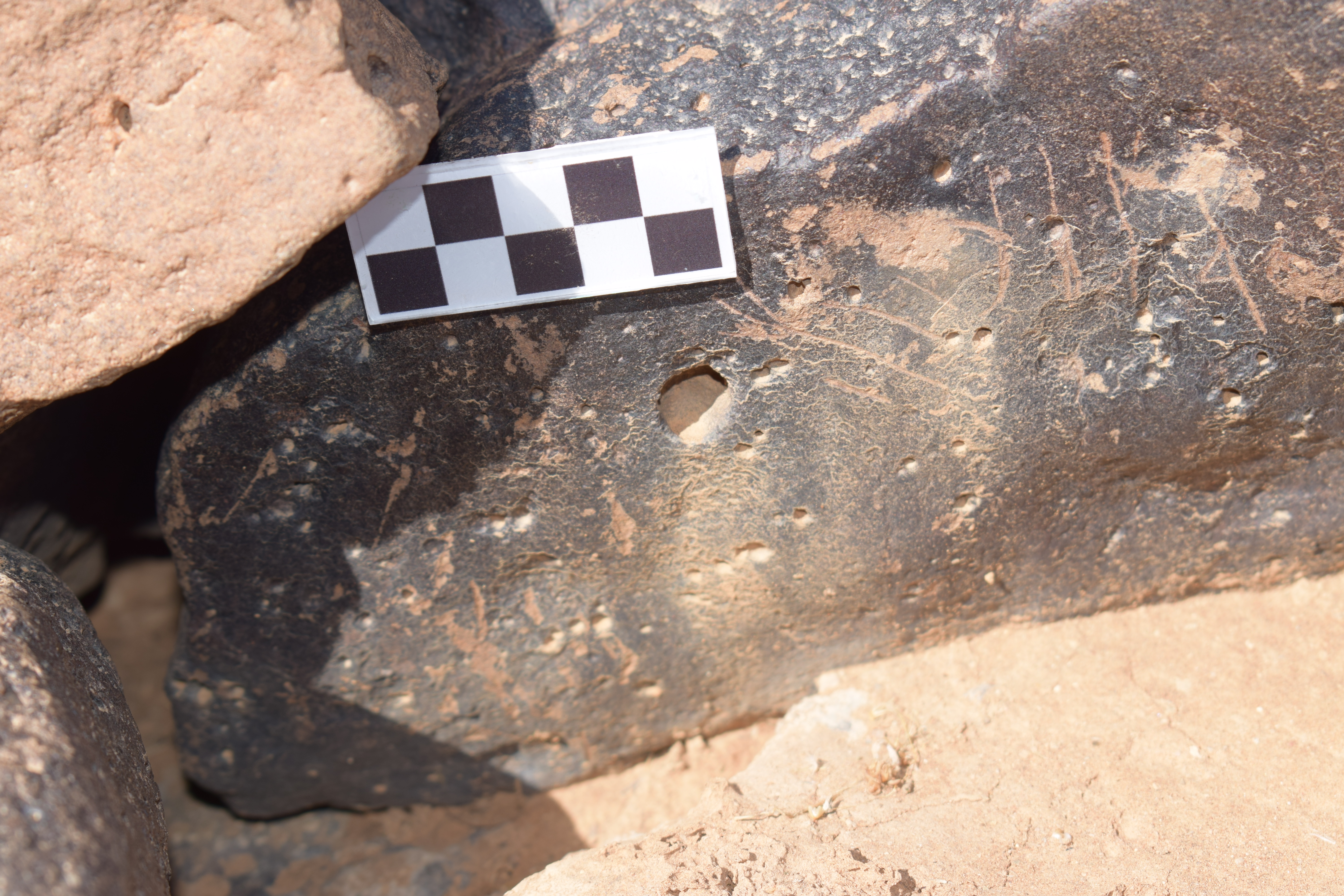 Image of siglum BES20 1659