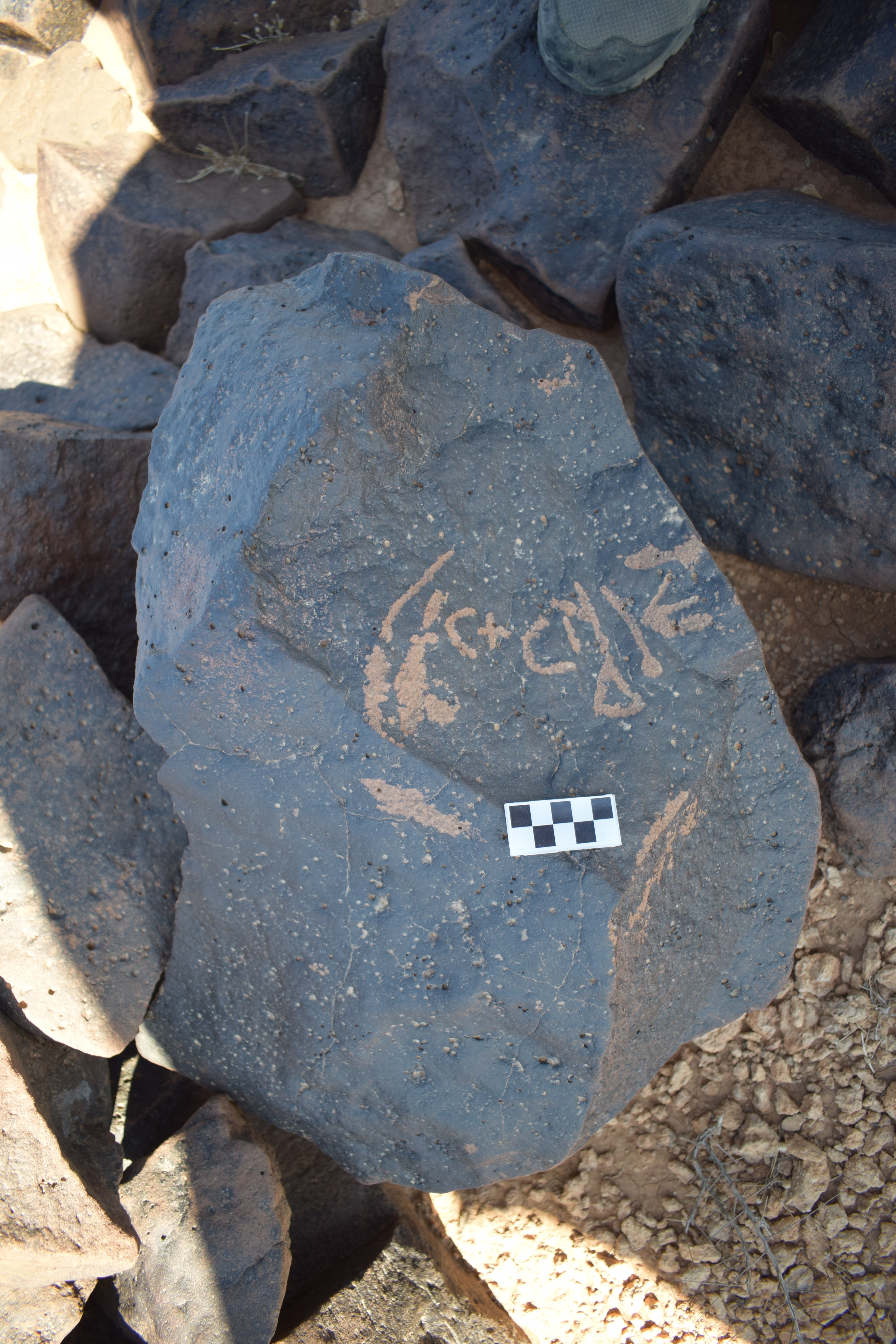 Image of siglum BES20 1660