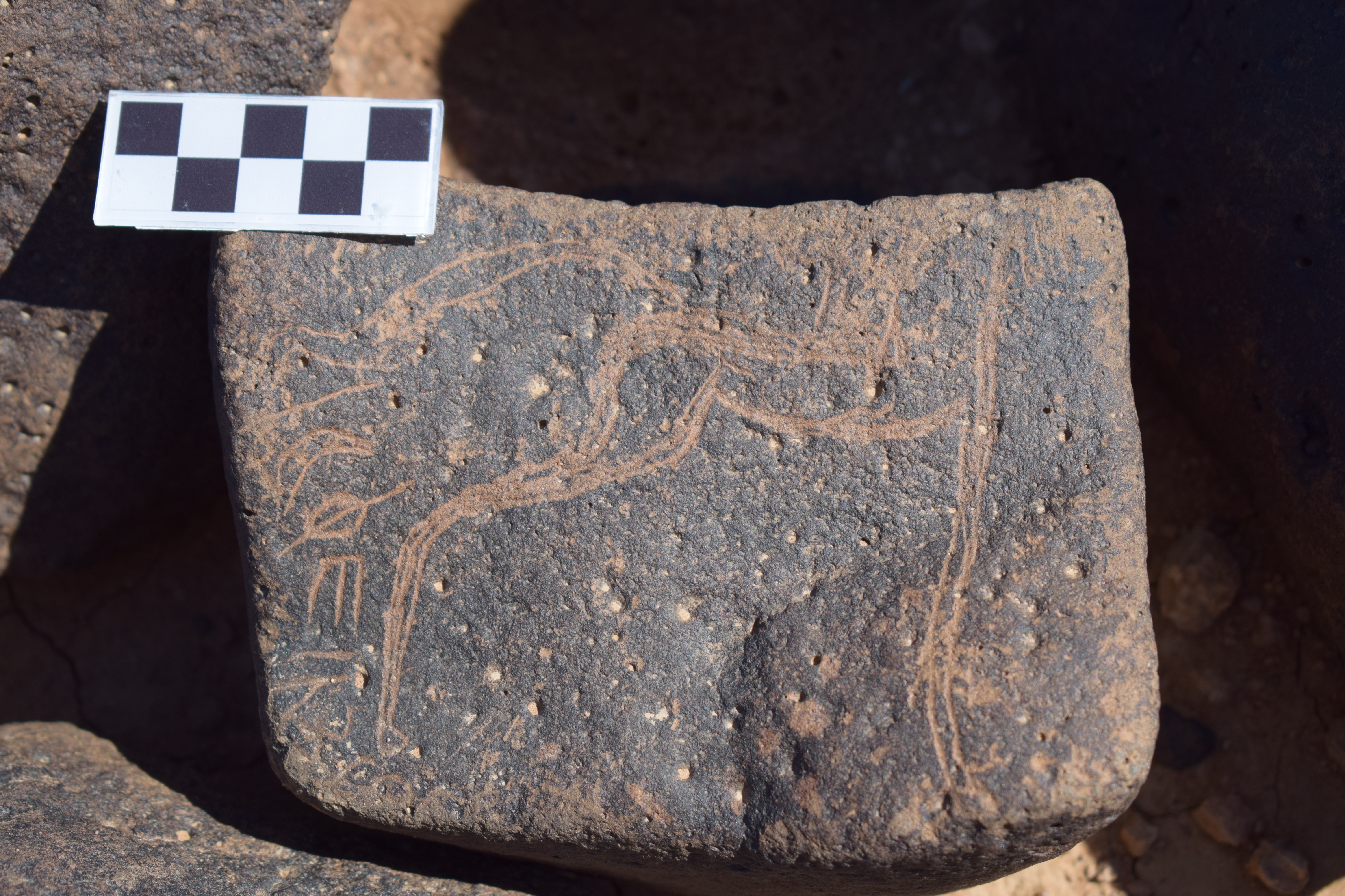 Image of siglum BES20 1661