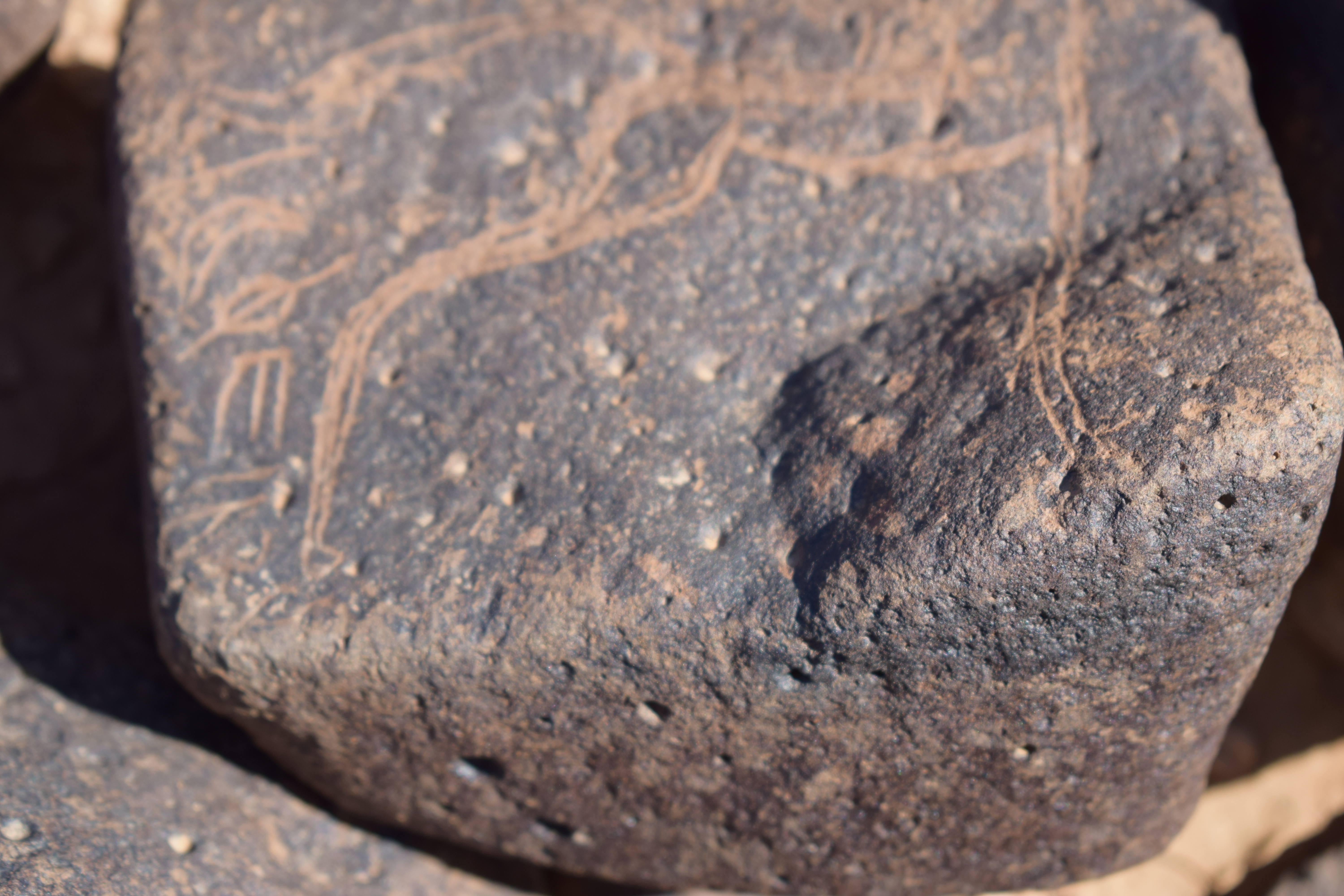 Image of siglum BES20 1661