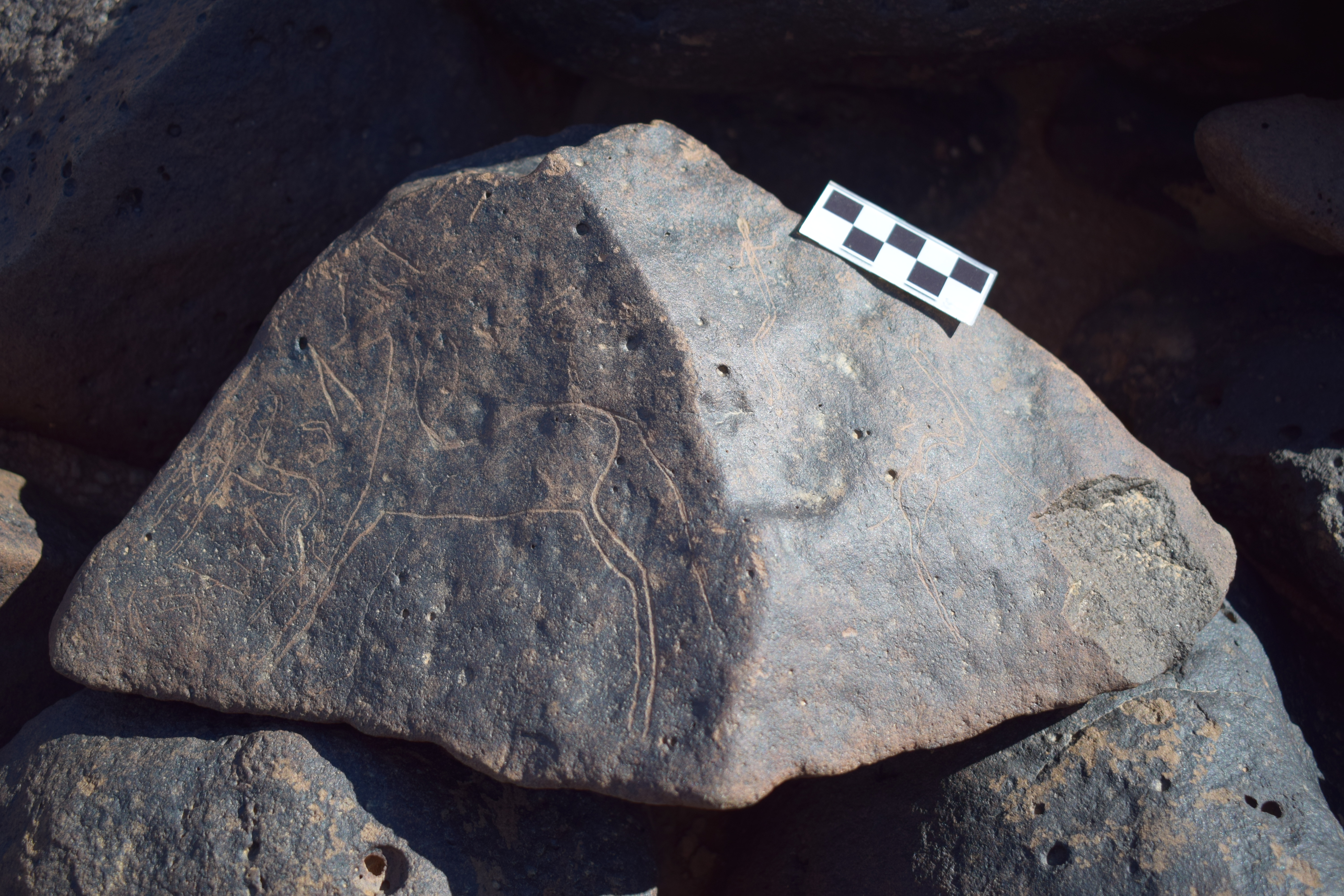 Image of siglum BES20 1662