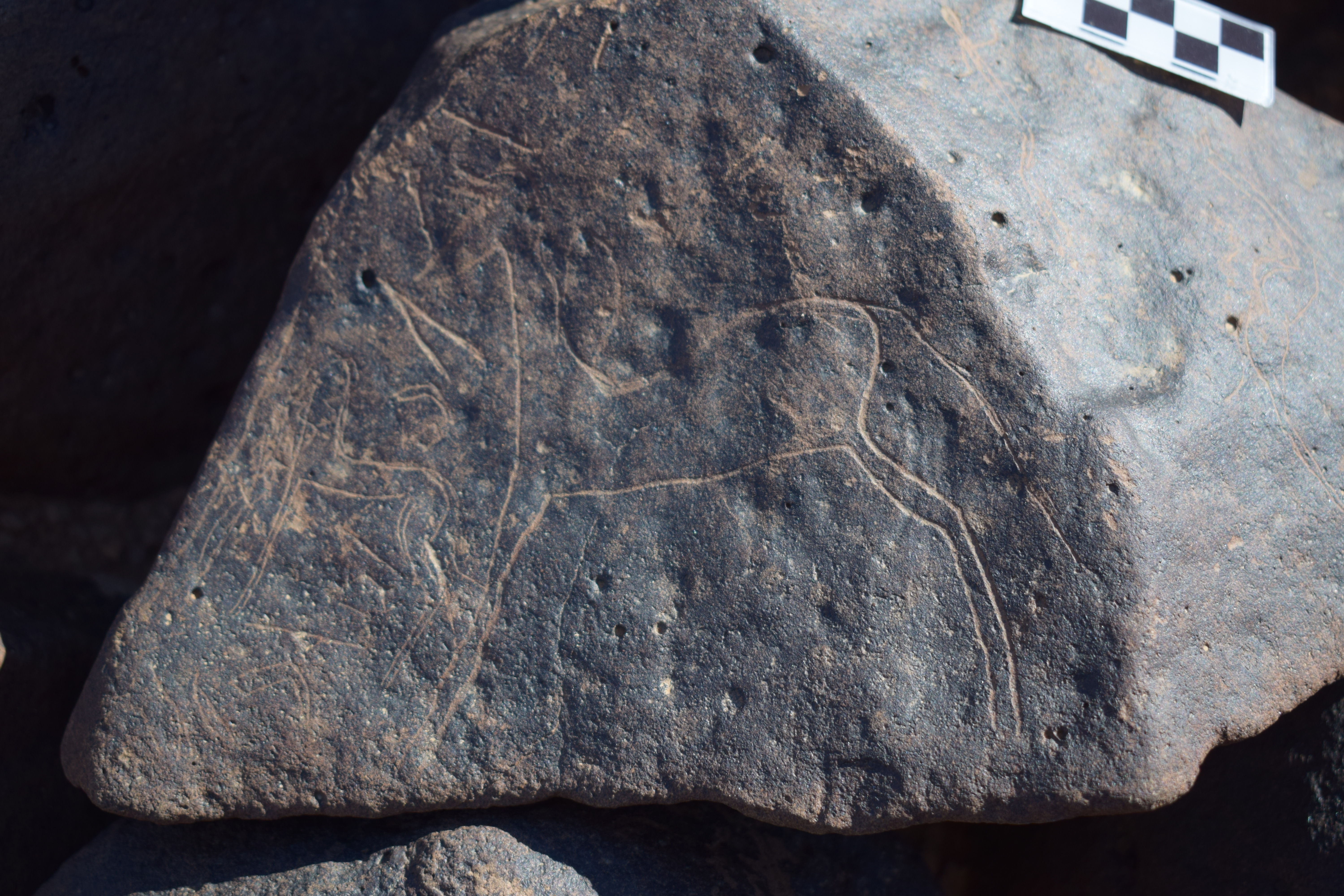 Image of siglum BES20 1662